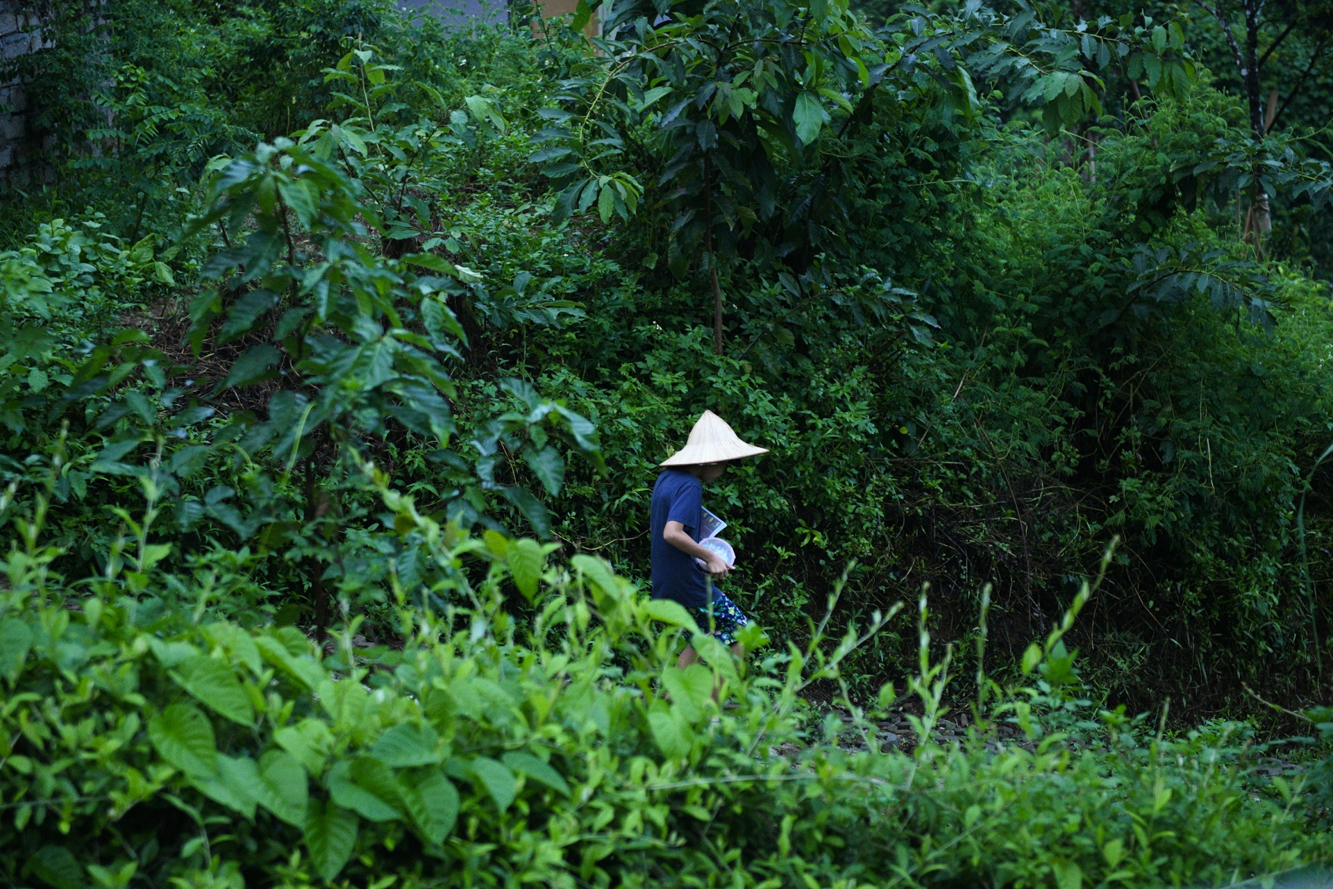 bo pho ve que,  tre em Ha Noi anh 55