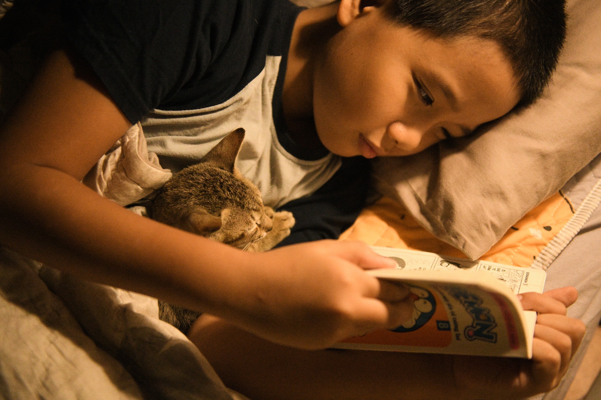 bo pho ve que,  tre em Ha Noi anh 62