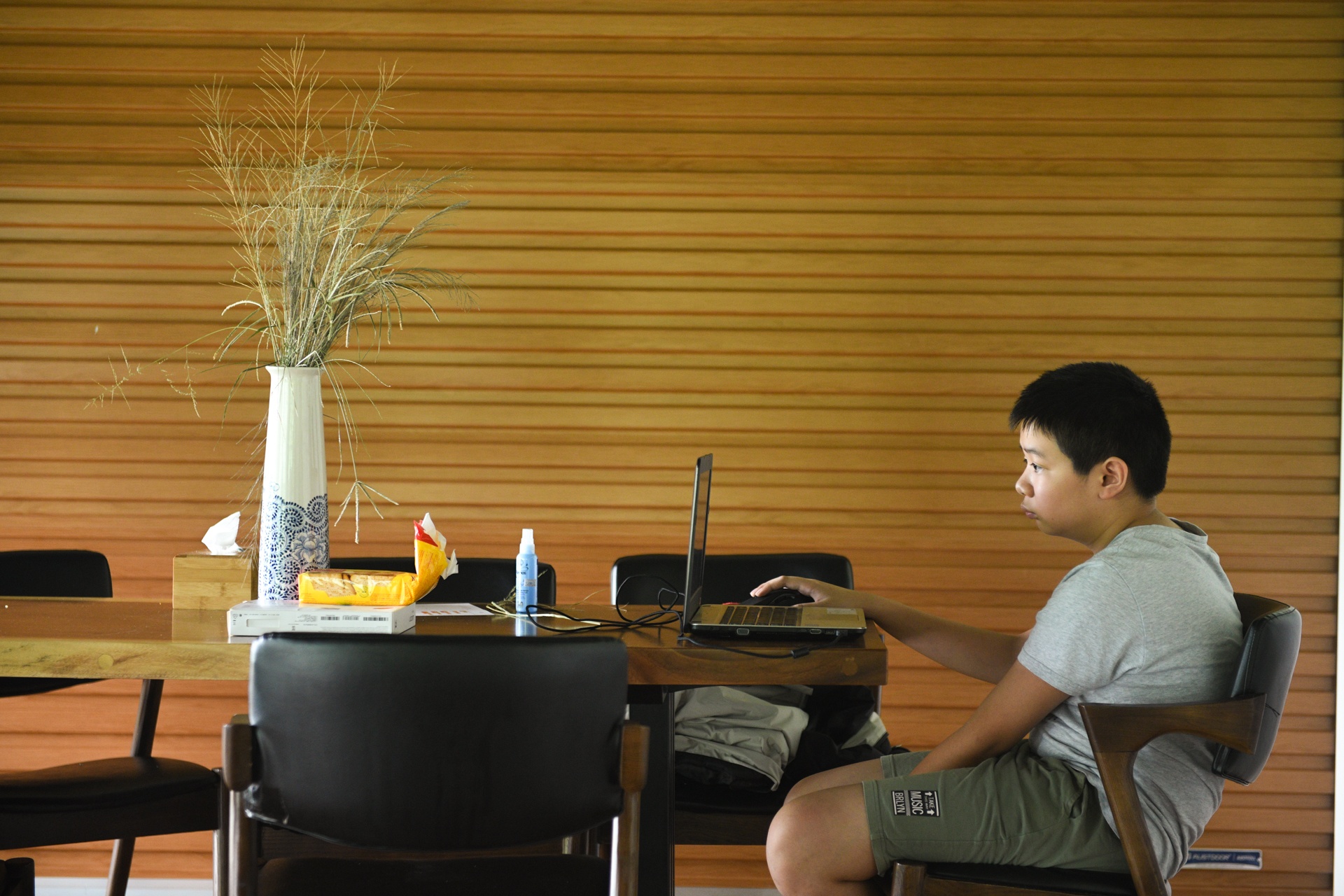 bo pho ve que,  tre em Ha Noi anh 70