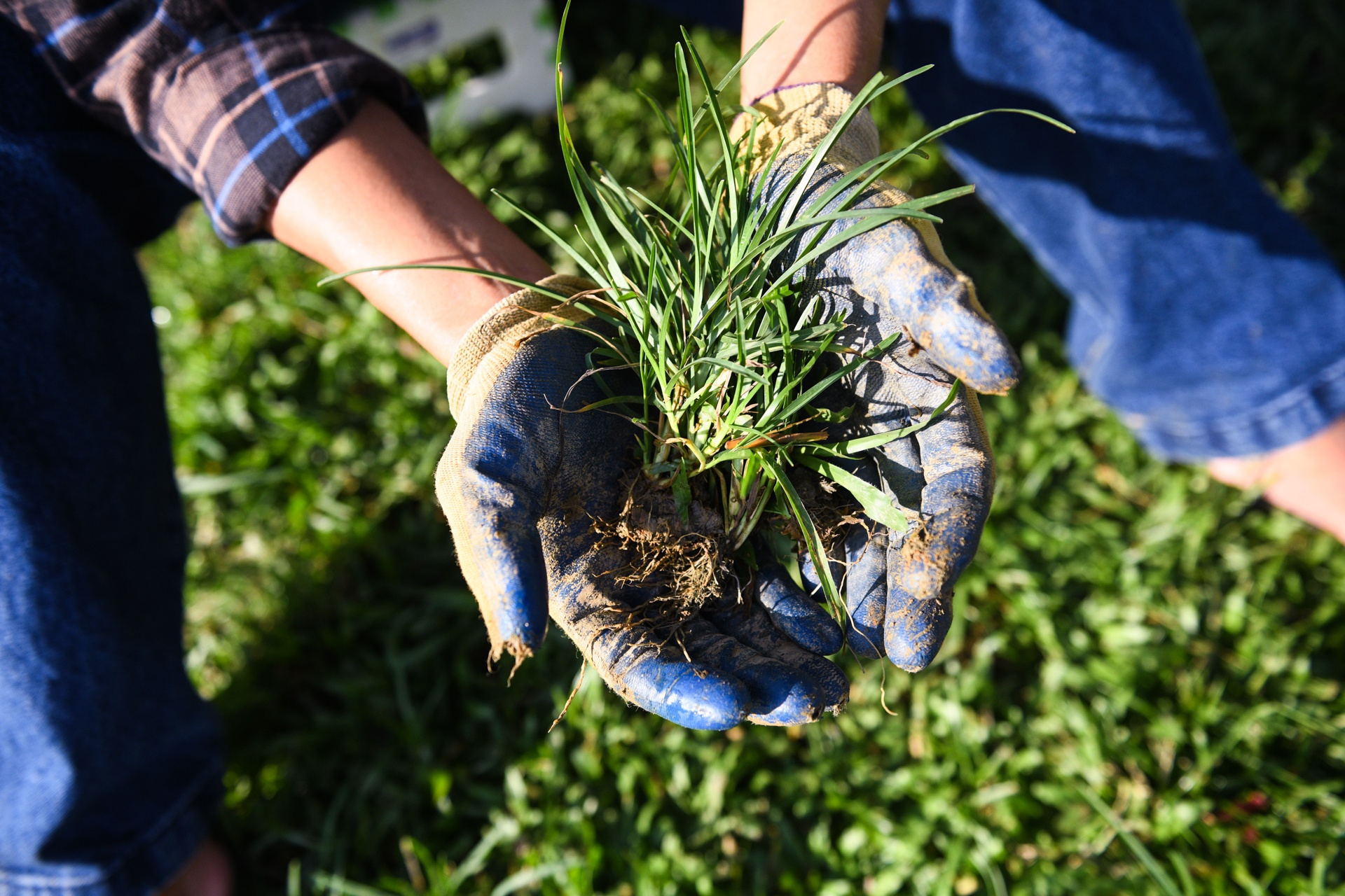 bo pho ve que,  tre em Ha Noi anh 79