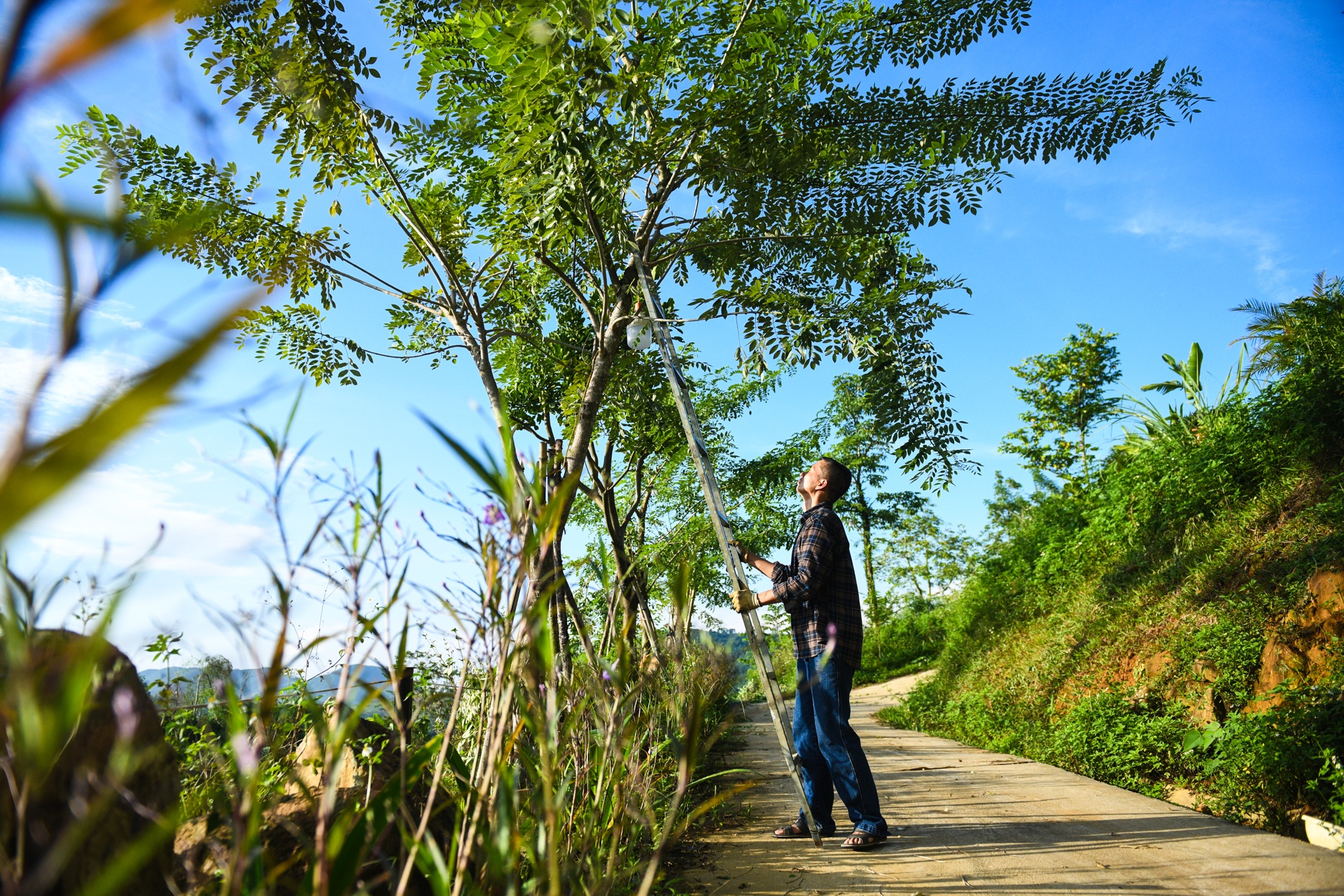 bo pho ve que,  tre em Ha Noi anh 77