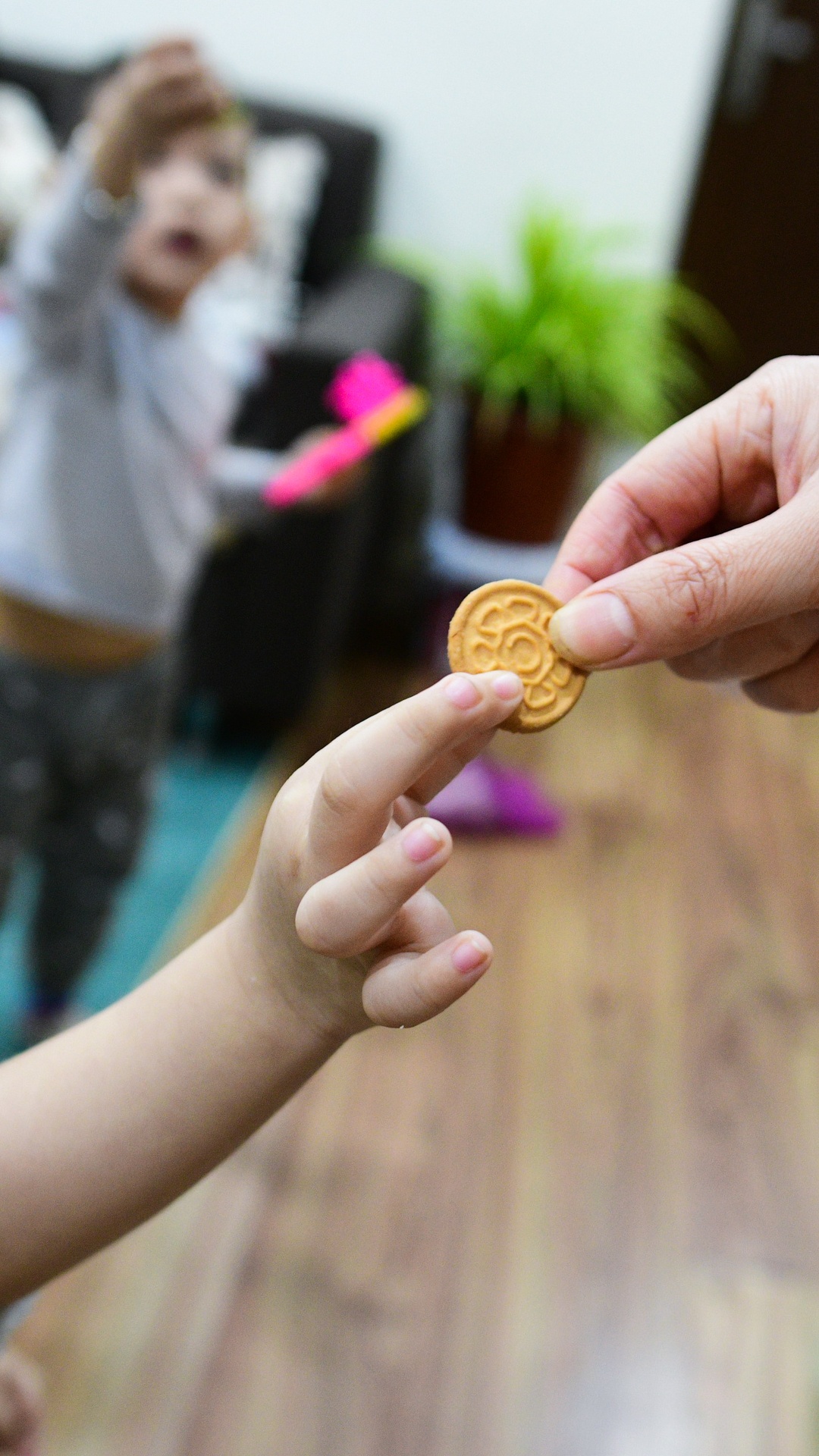 dịch Covid-19, giáo viên mầm non, mầm non Hà Nội ảnh 32 dich Covid-19, giao vien mam non, mam non Ha Noi anh 32