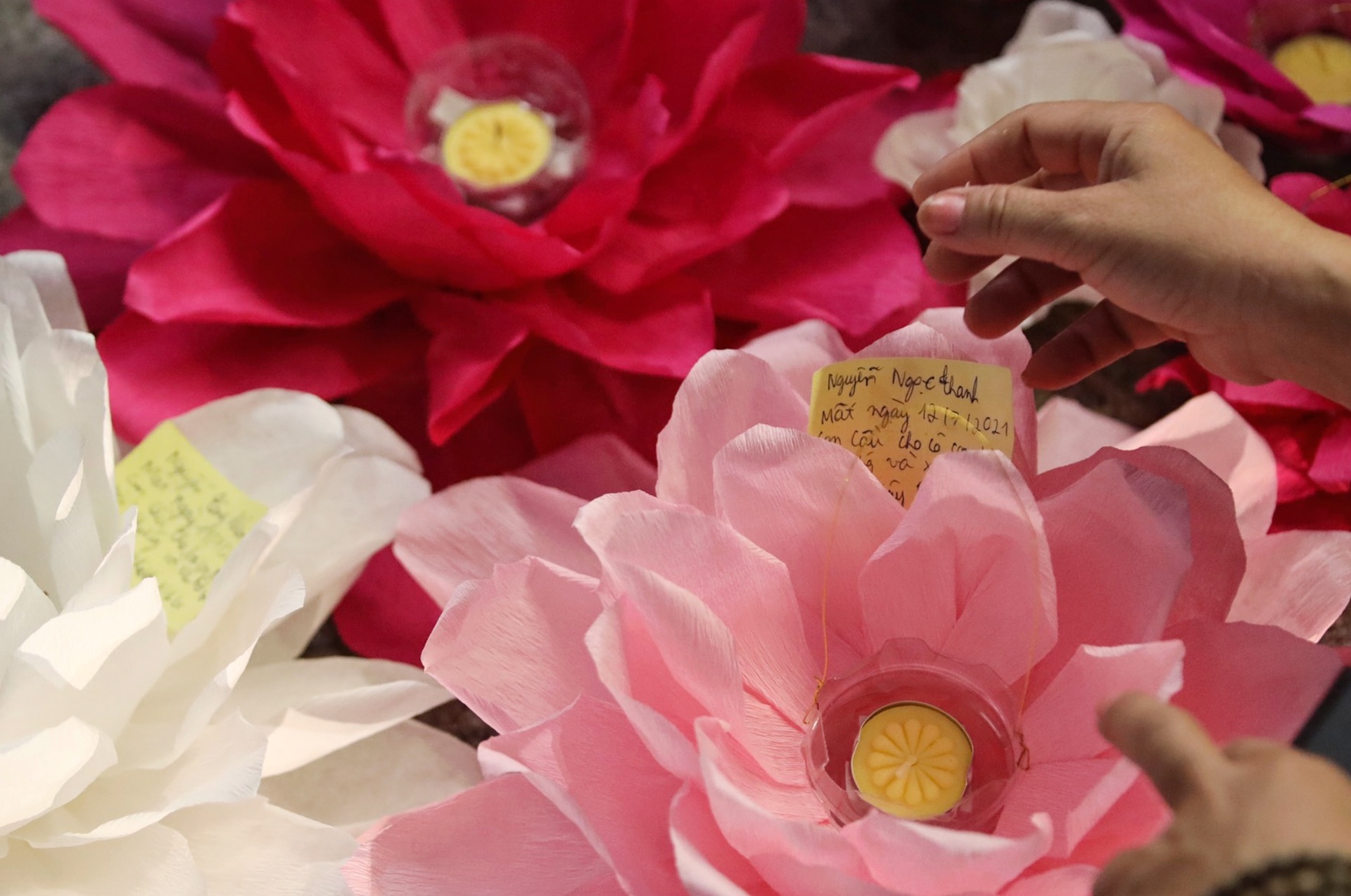 tuong niem nguoi mat vi Covid-19 anh 18