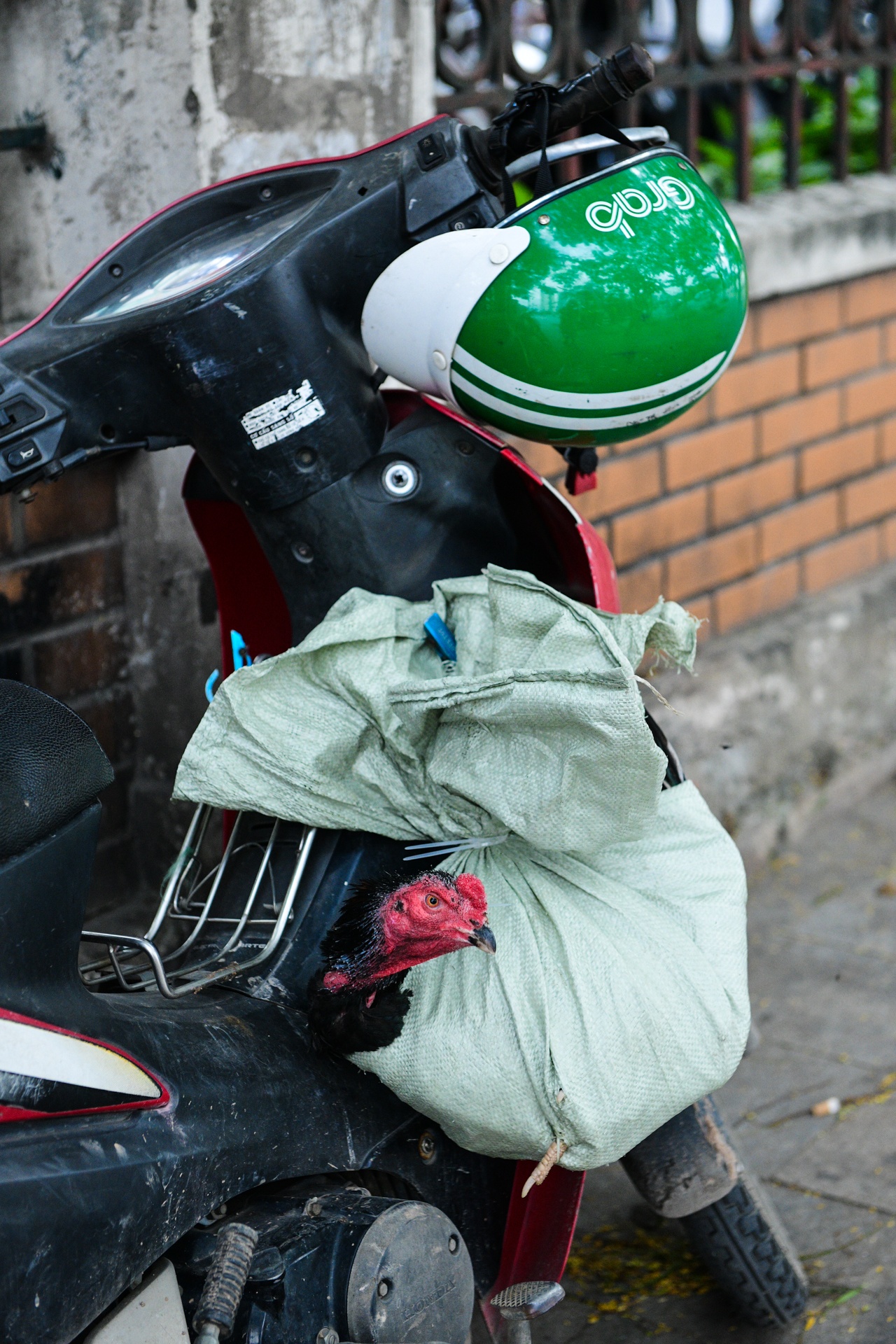 anh huong dich Covid-19,  lao dong Ha Noi,  nguoi lao dong, anh 4