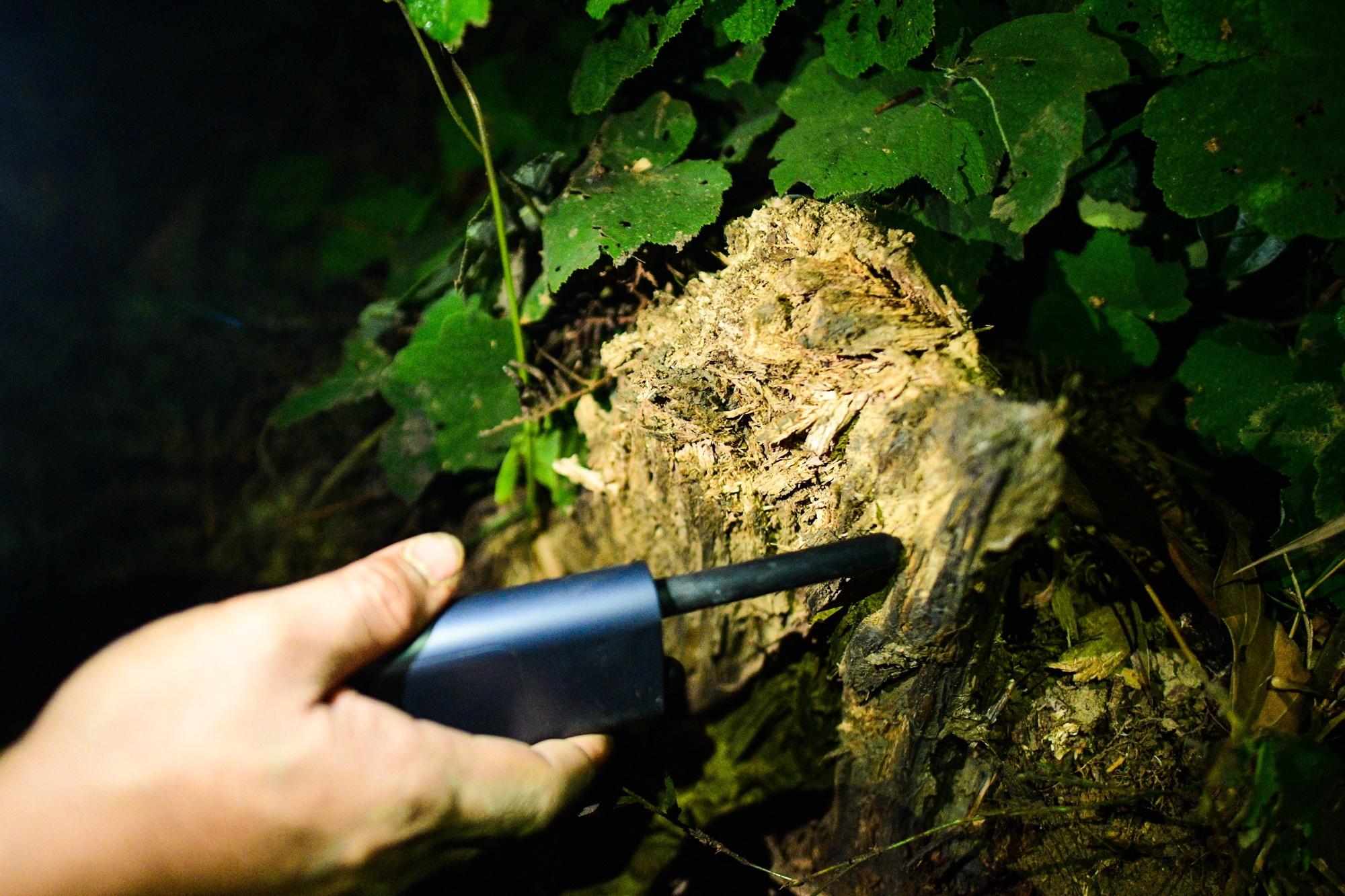 Giải đua xe địa hình Việt Nam VOC 2021 ảnh 19 Giai dua xe dia hinh Viet Nam VOC 2021 anh 19