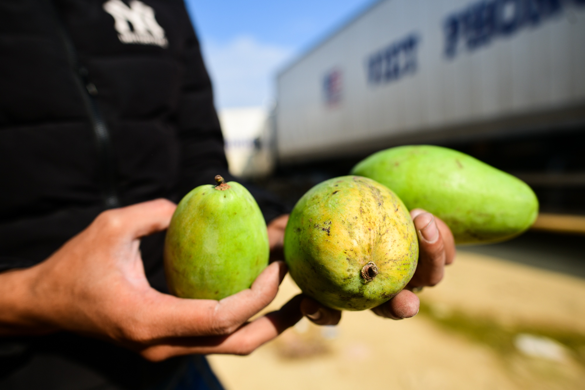 hang nong san un u,  un tac xe container anh 6