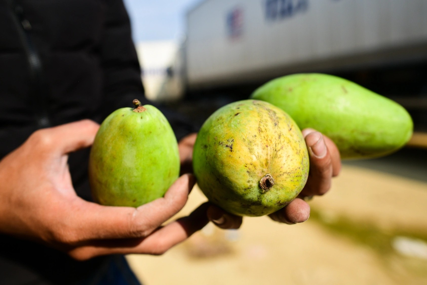 xe container un u vi tac bien,  cua khau Lang Son un tac,  nong san xuat khau anh 15