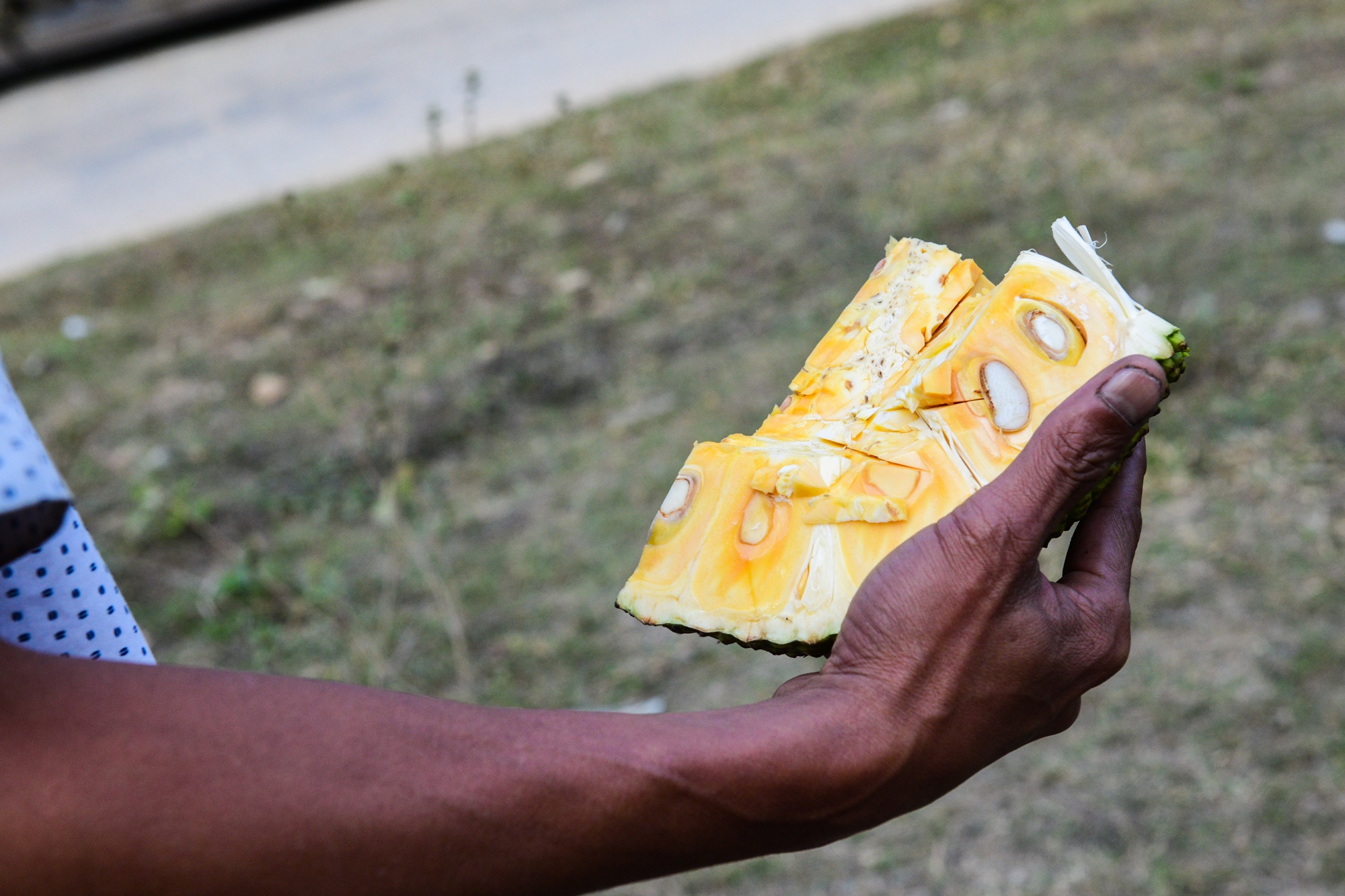 xe container un u vi tac bien,  cua khau Lang Son un tac,  nong san xuat khau anh 19