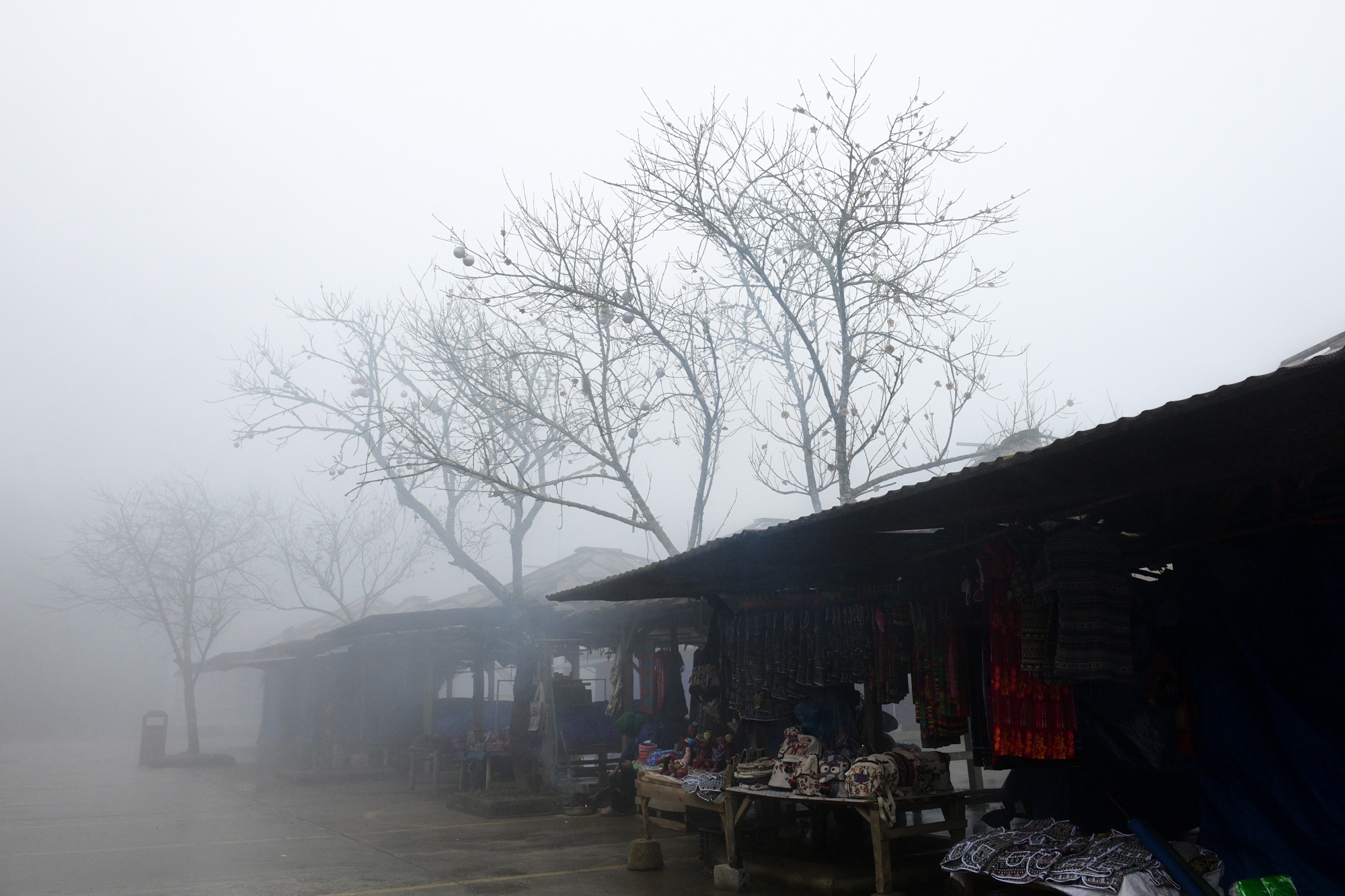 Tet Duong lich,  du lich nghi le,  diem check-in dep anh 20
