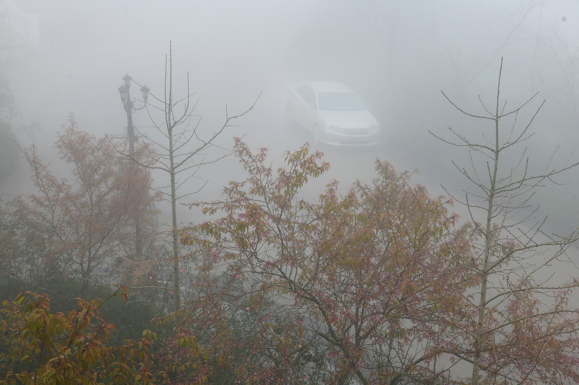Tet Duong lich,  du lich nghi le,  diem check-in dep anh 8