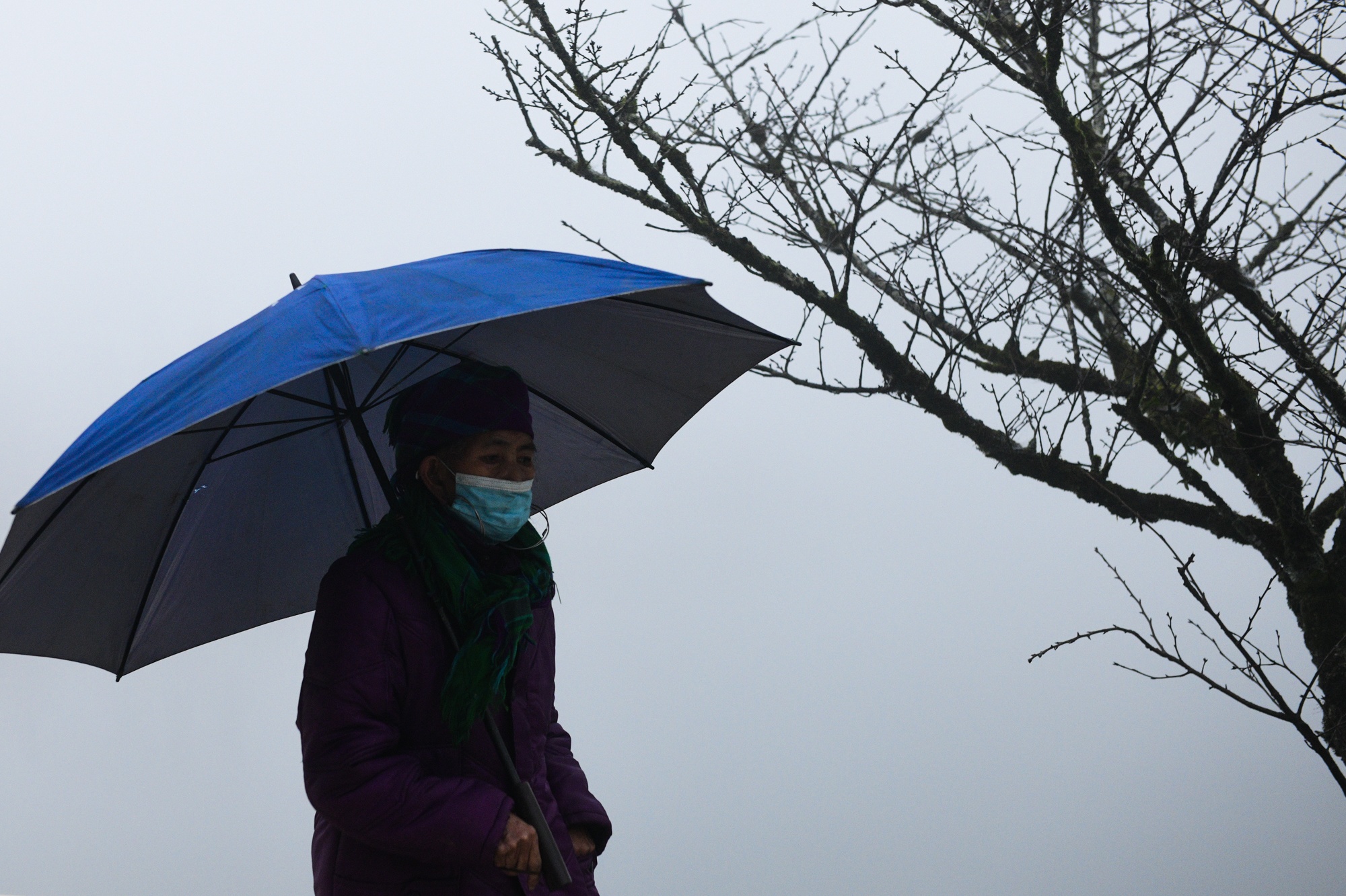 Tet Duong lich,  du lich nghi le,  diem check-in dep anh 1