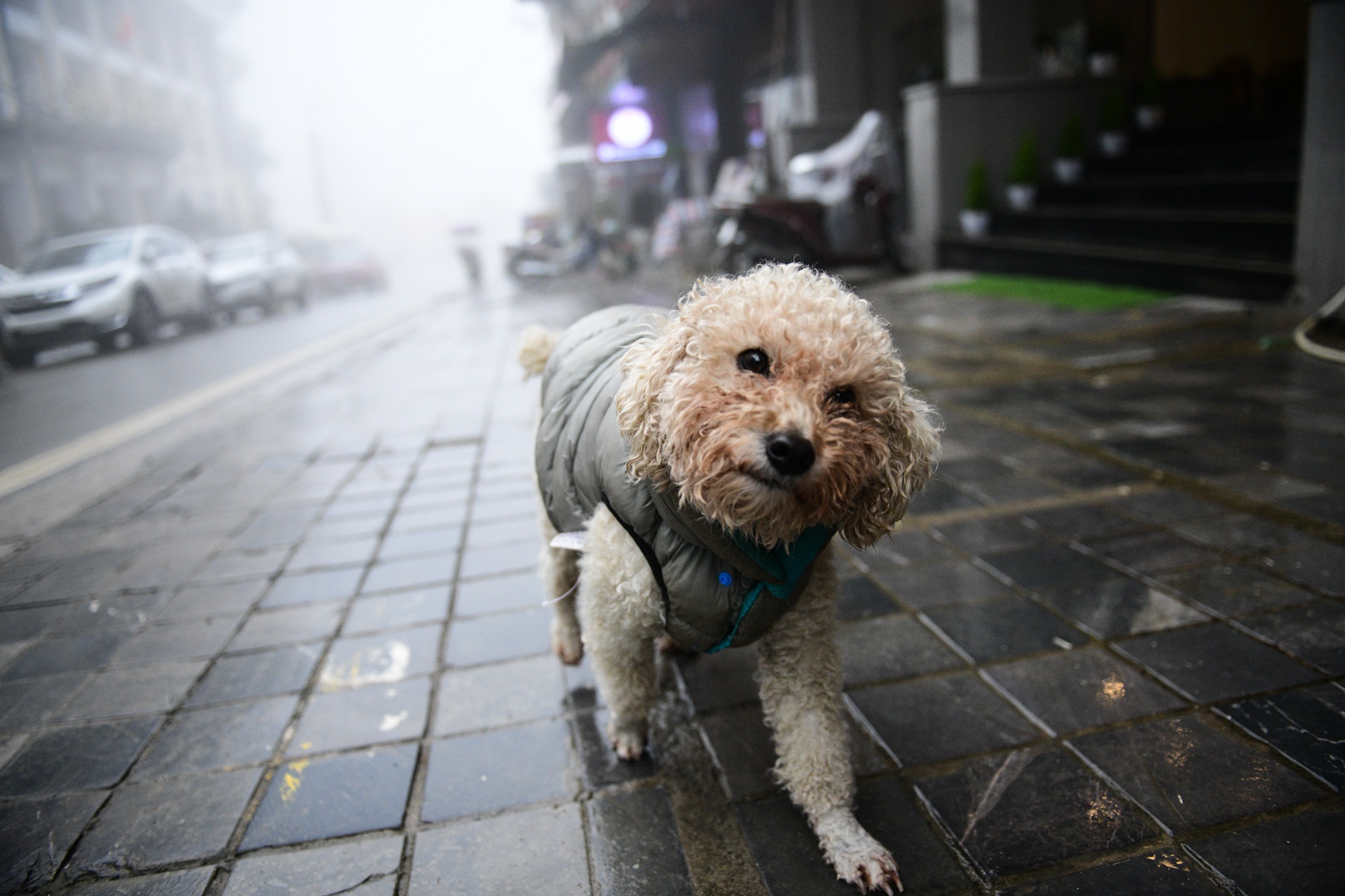 Tet Duong lich,  du lich nghi le,  diem check-in dep anh 3