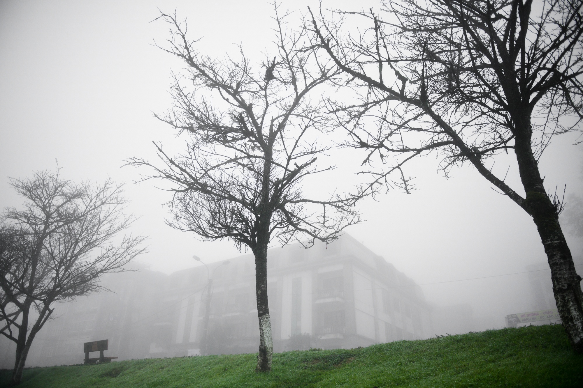 Tet Duong lich,  du lich nghi le,  diem check-in dep anh 2