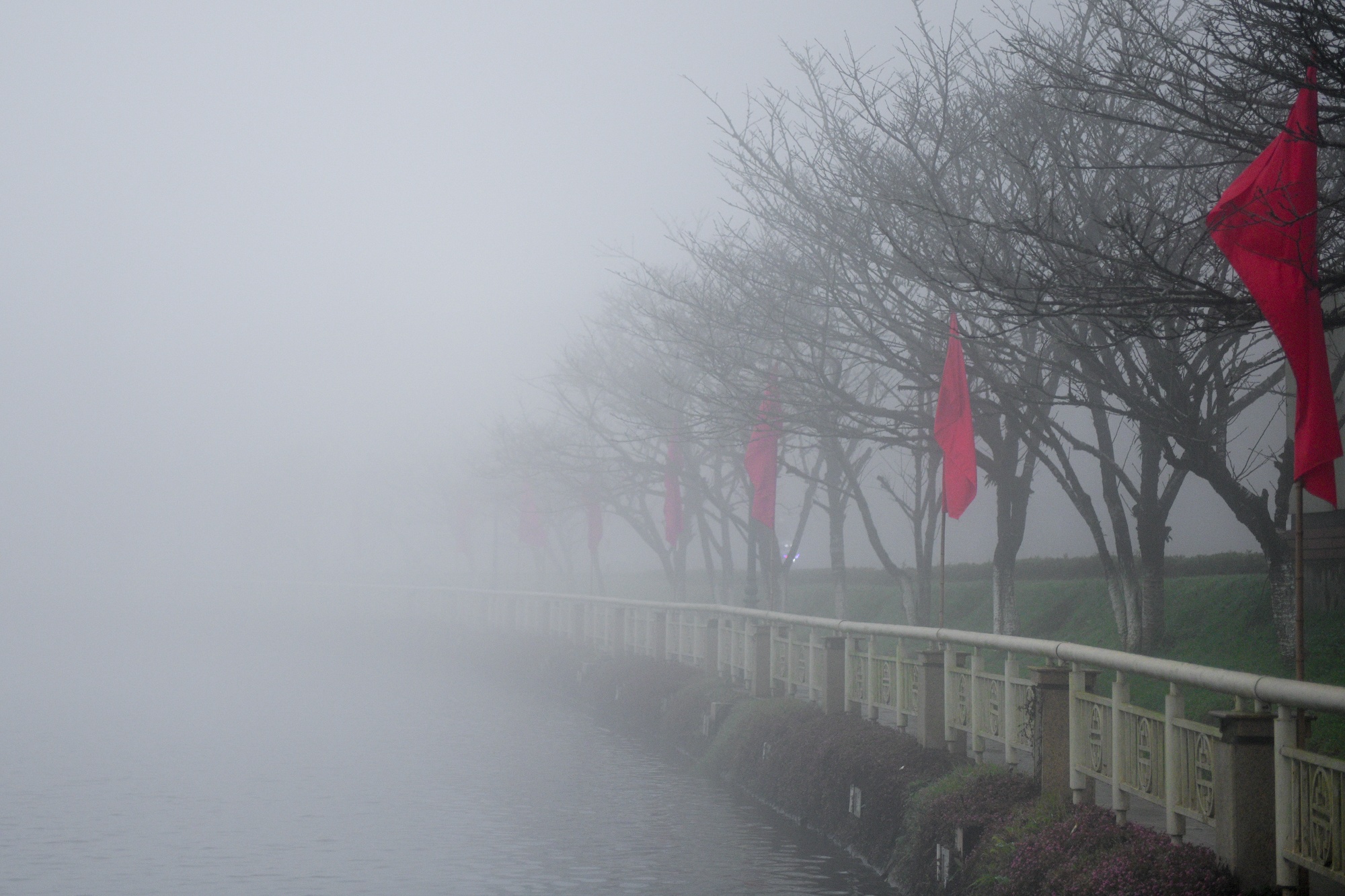 Tet Duong lich,  du lich nghi le,  diem check-in dep anh 15