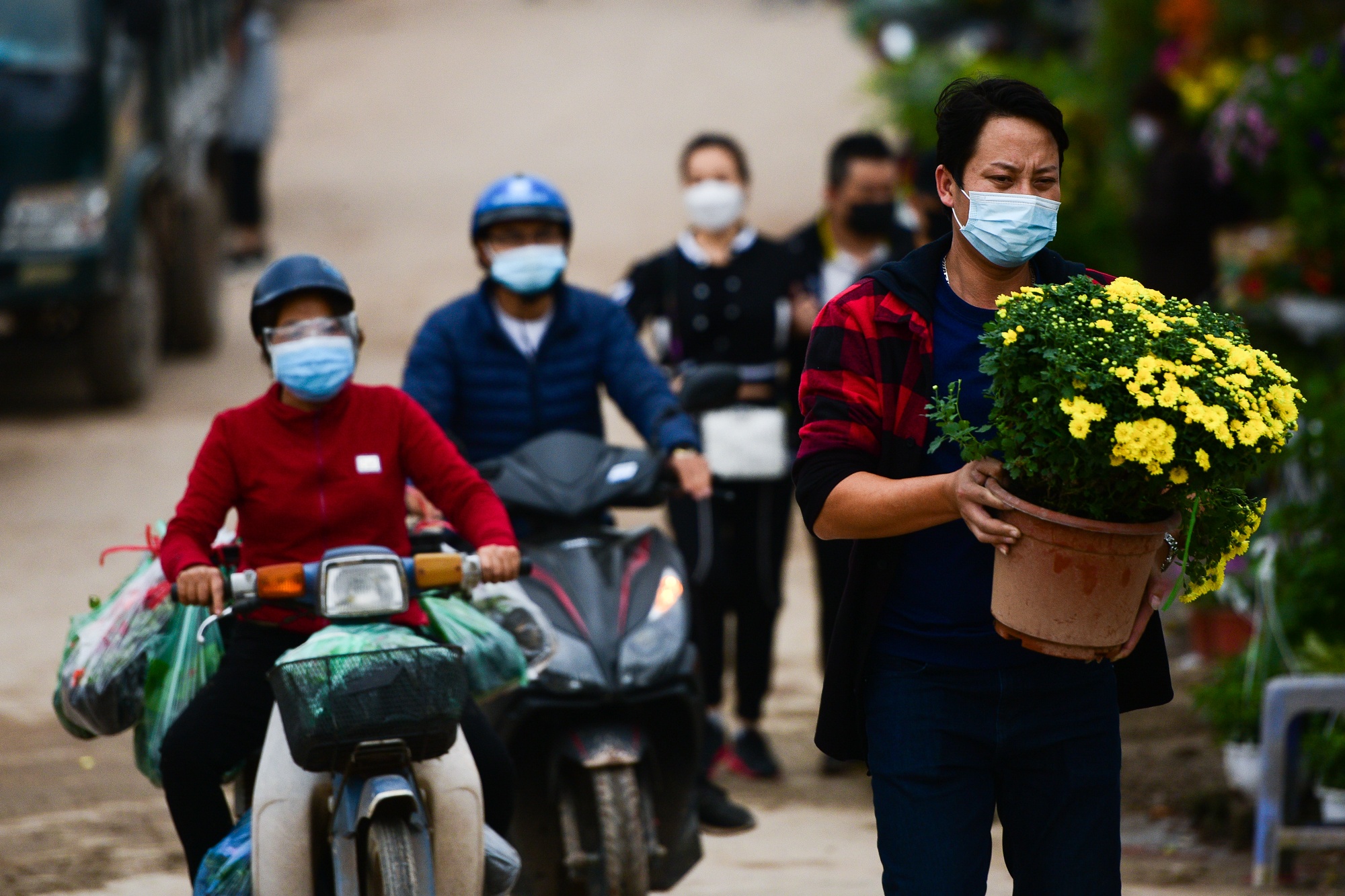 cho cay canh dip Tet,  buoi dien canh anh 13
