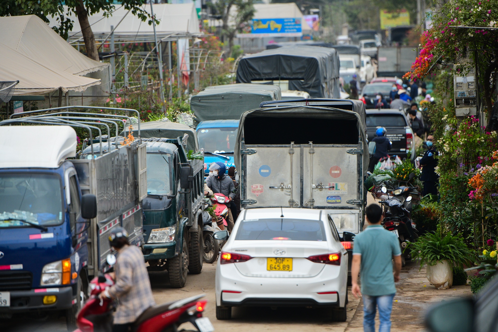 cho cay canh dip Tet,  buoi dien canh anh 1