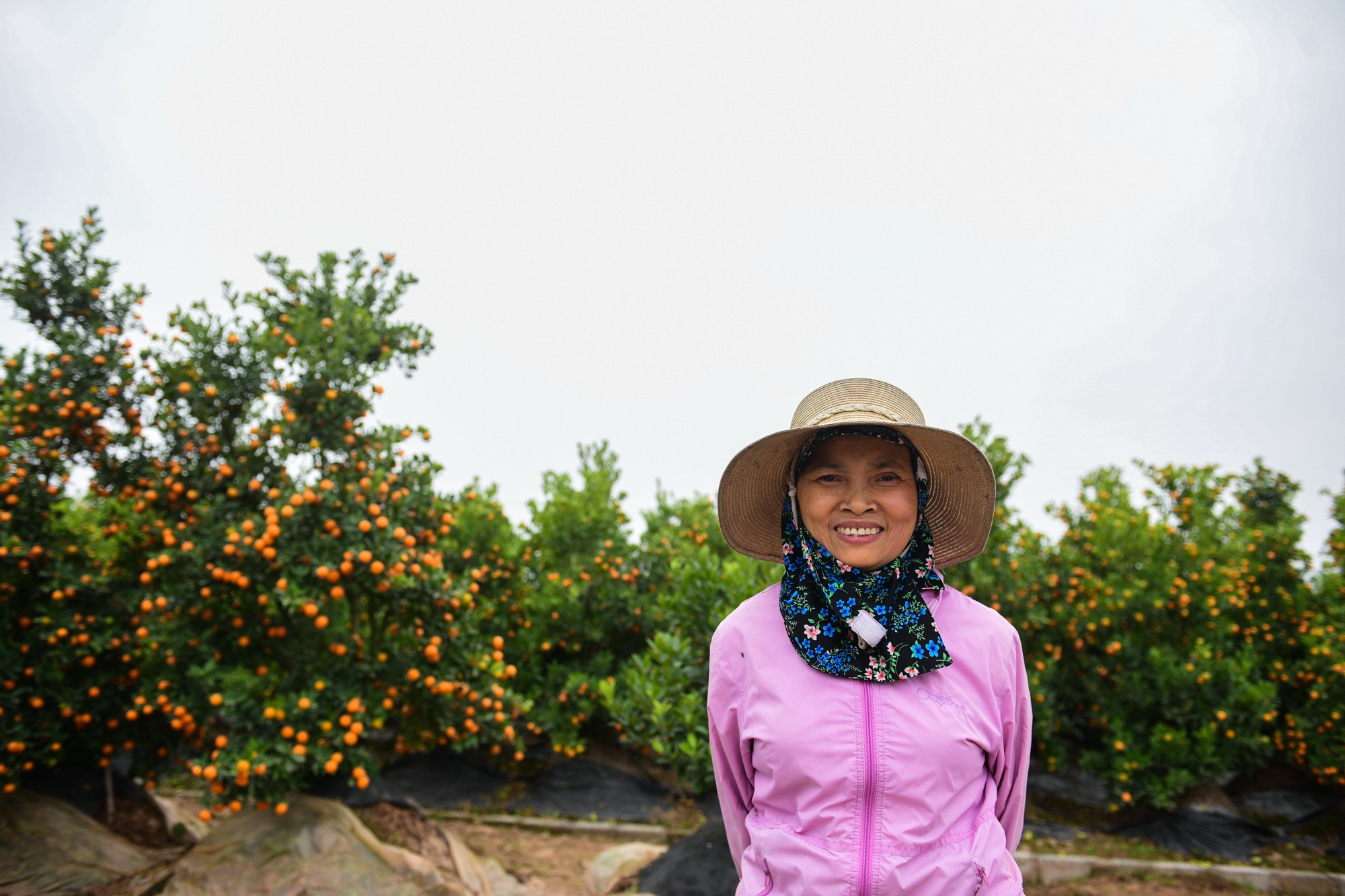 cho cay canh dip Tet,  buoi dien canh anh 12