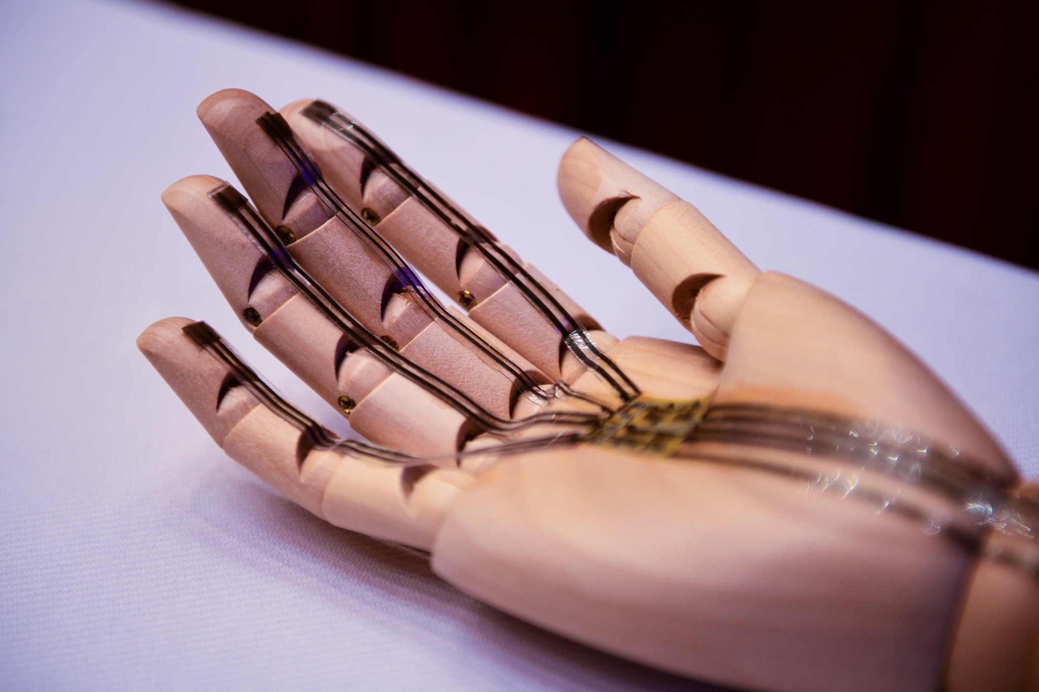 giai thuong khoa hoc anh 22