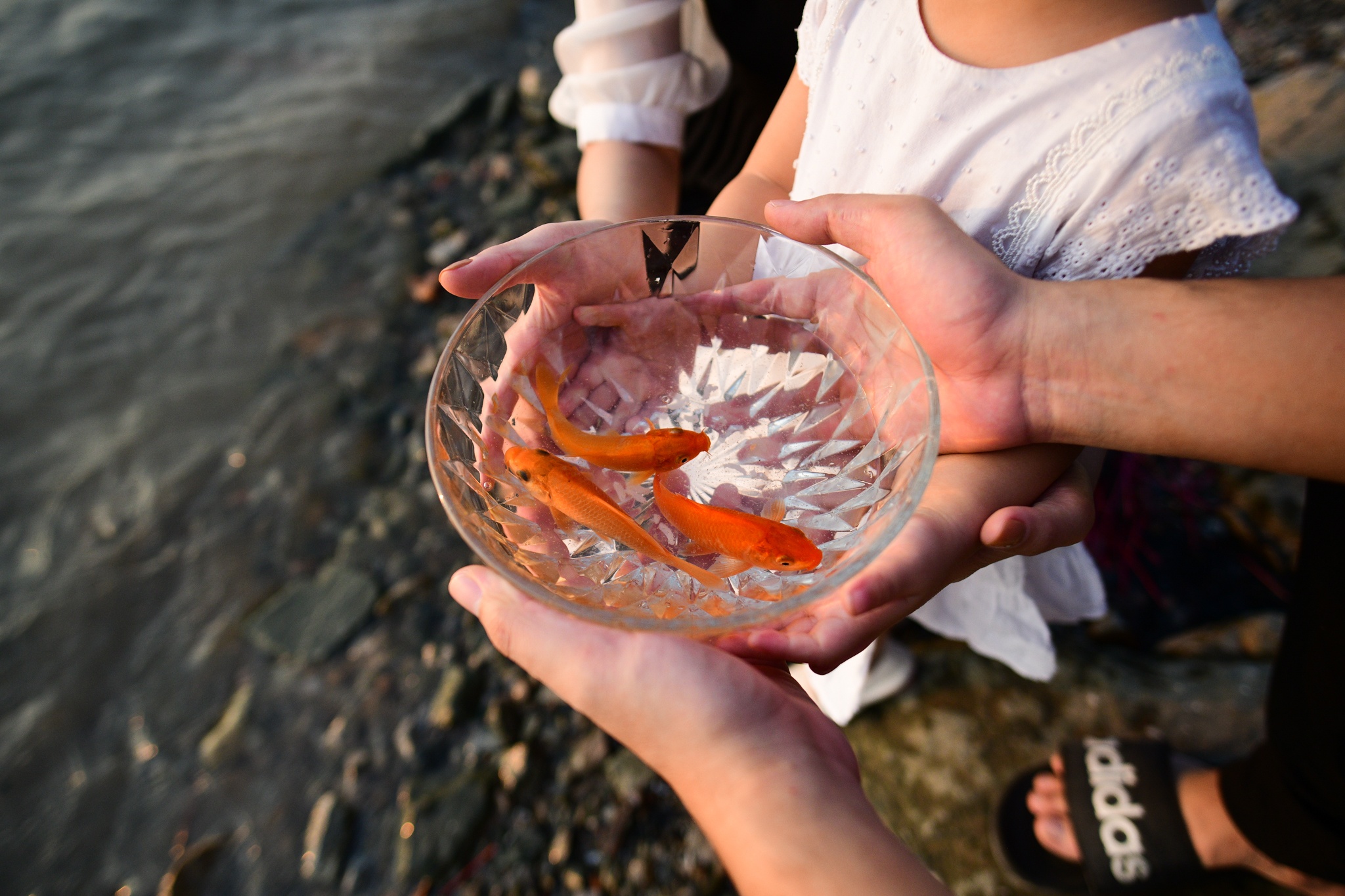 vo chong tre sam Tet,  Tet Nguyen dan,  mua sam dip Tet anh 17