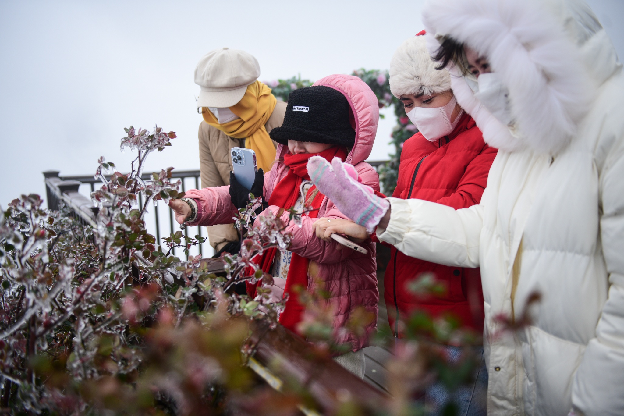 Du khach thich thu voi bang gia o cong troi tren deo O Quy Ho hinh anh