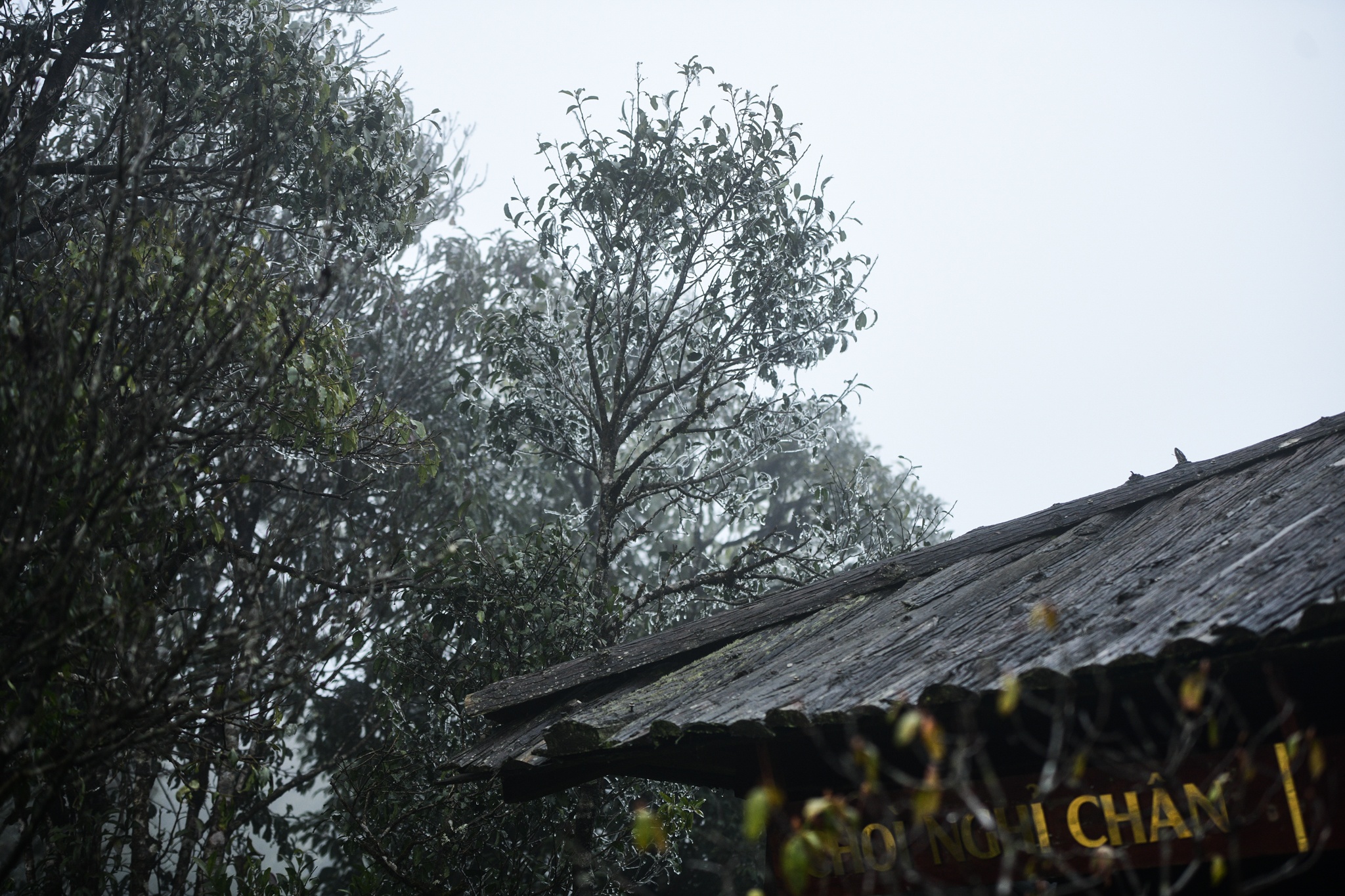 xuat hien bang tuyet,  vung nui cao,  deo O Quy Ho anh 13