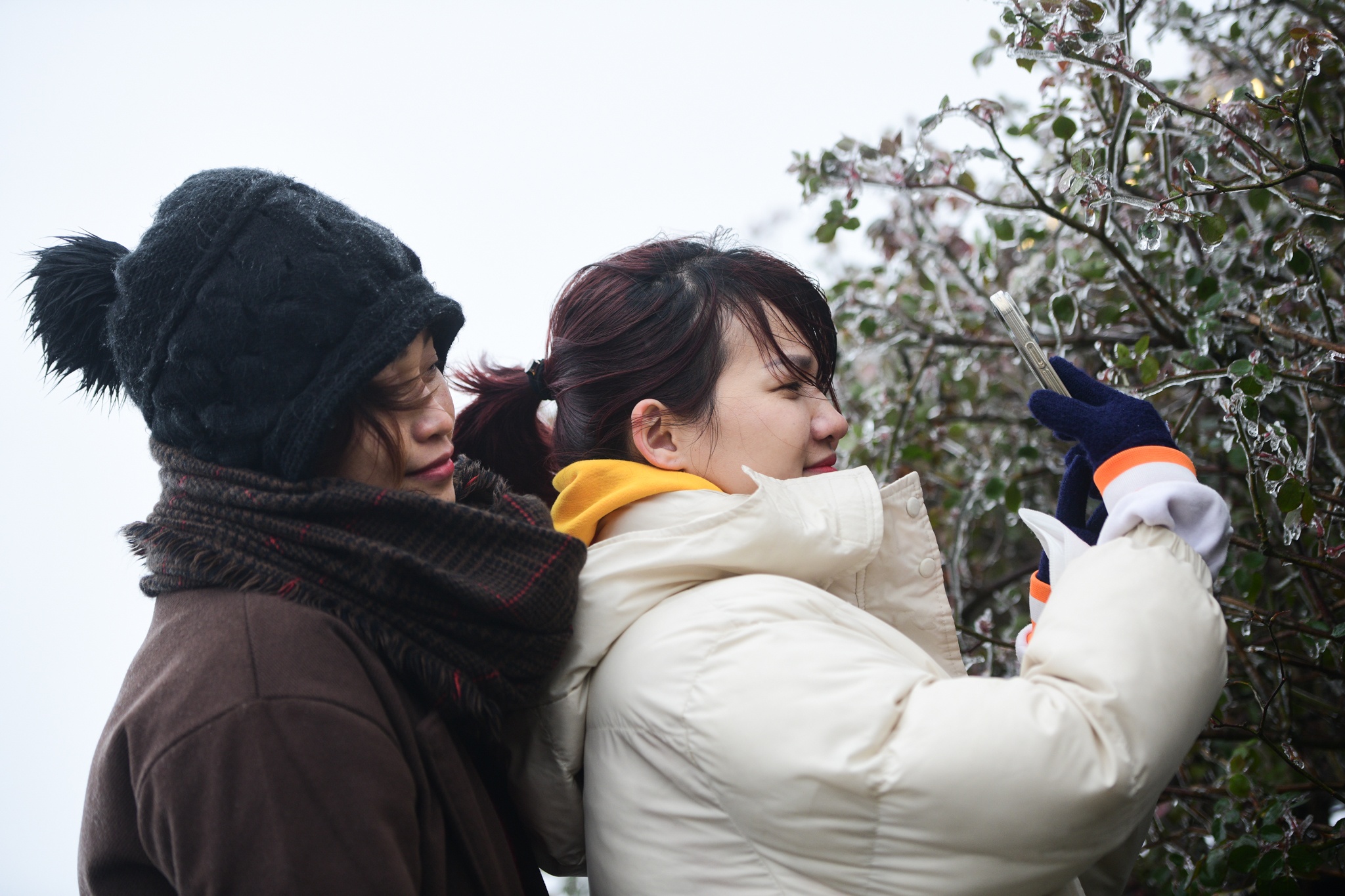 xuat hien bang tuyet,  vung nui cao,  deo O Quy Ho anh 8