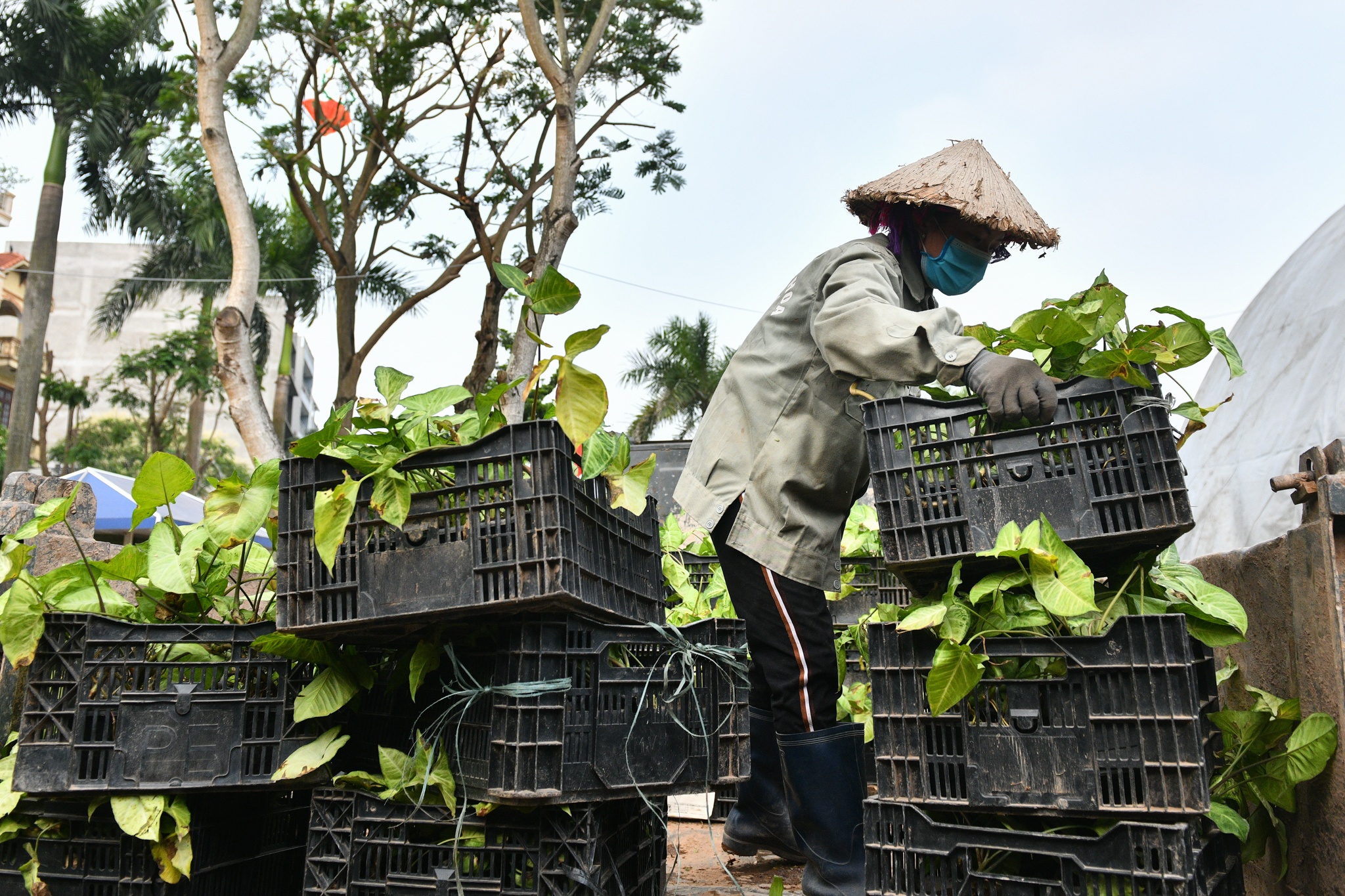 diem vui choi Ha Noi,  nghi le 30/4 anh 6