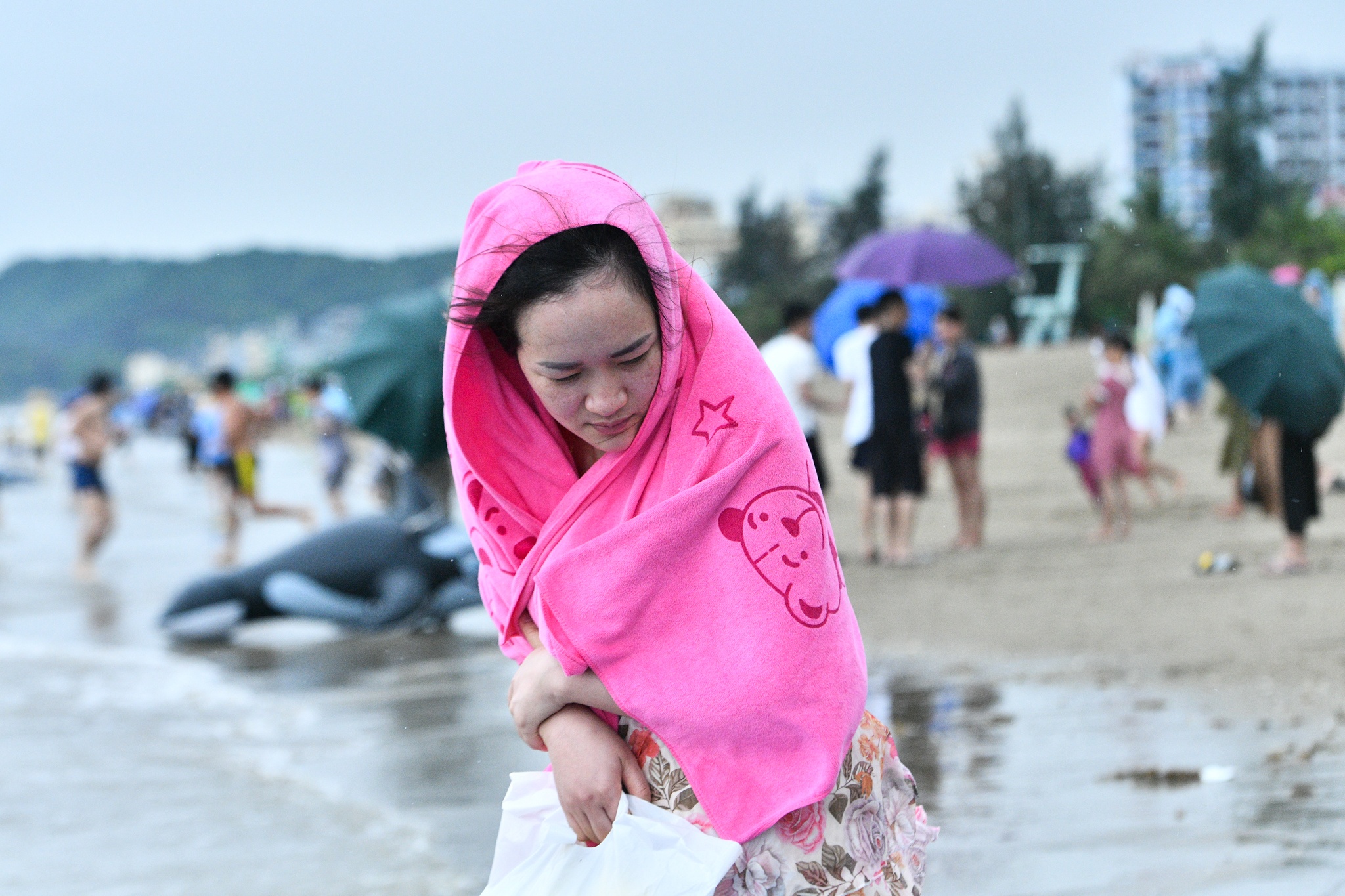 du lich dip nghi le,  bai bien sam son anh 5