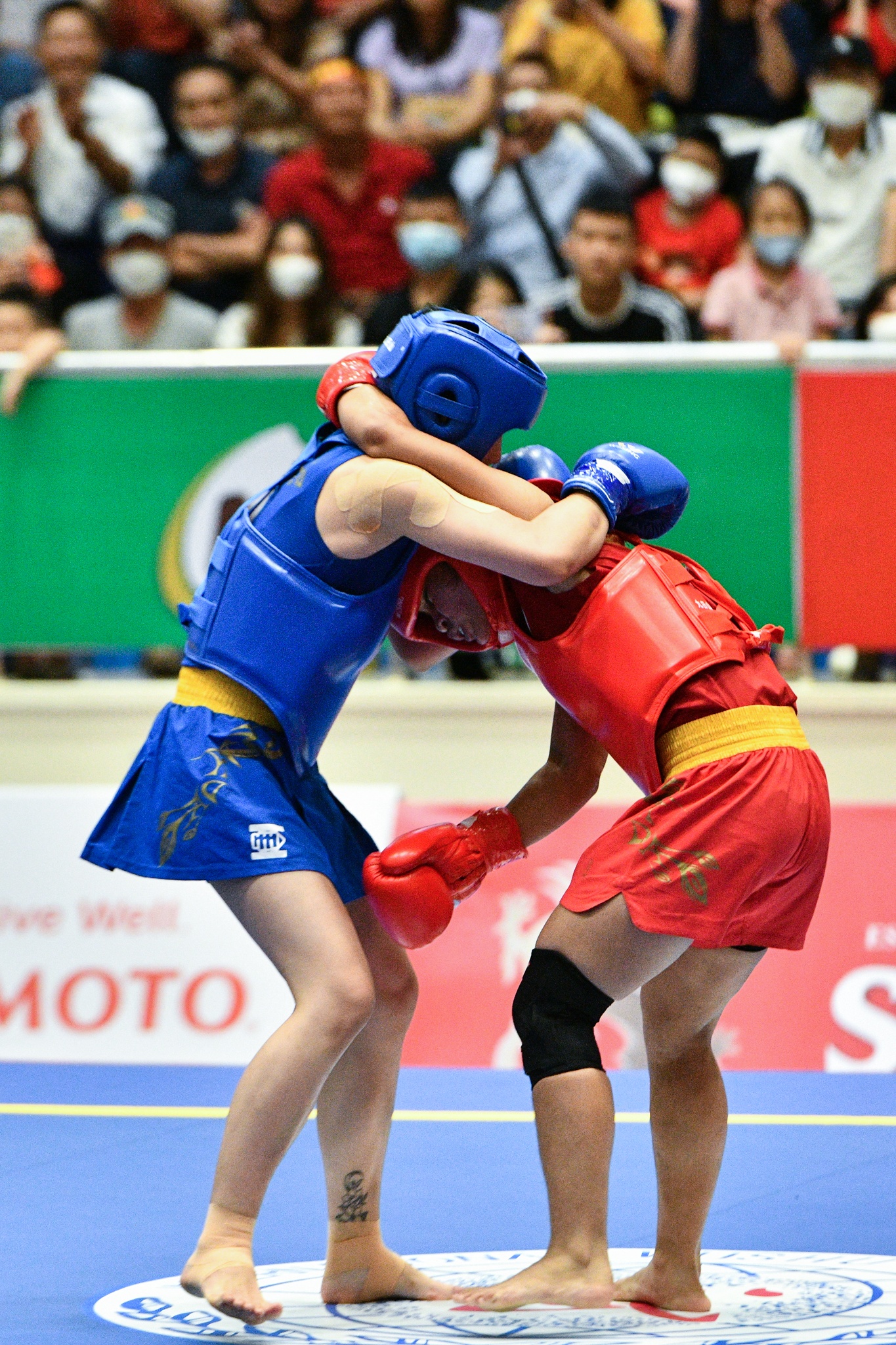 Doi tuyen Viet Nam,  gianh huy chuong vang anh 3