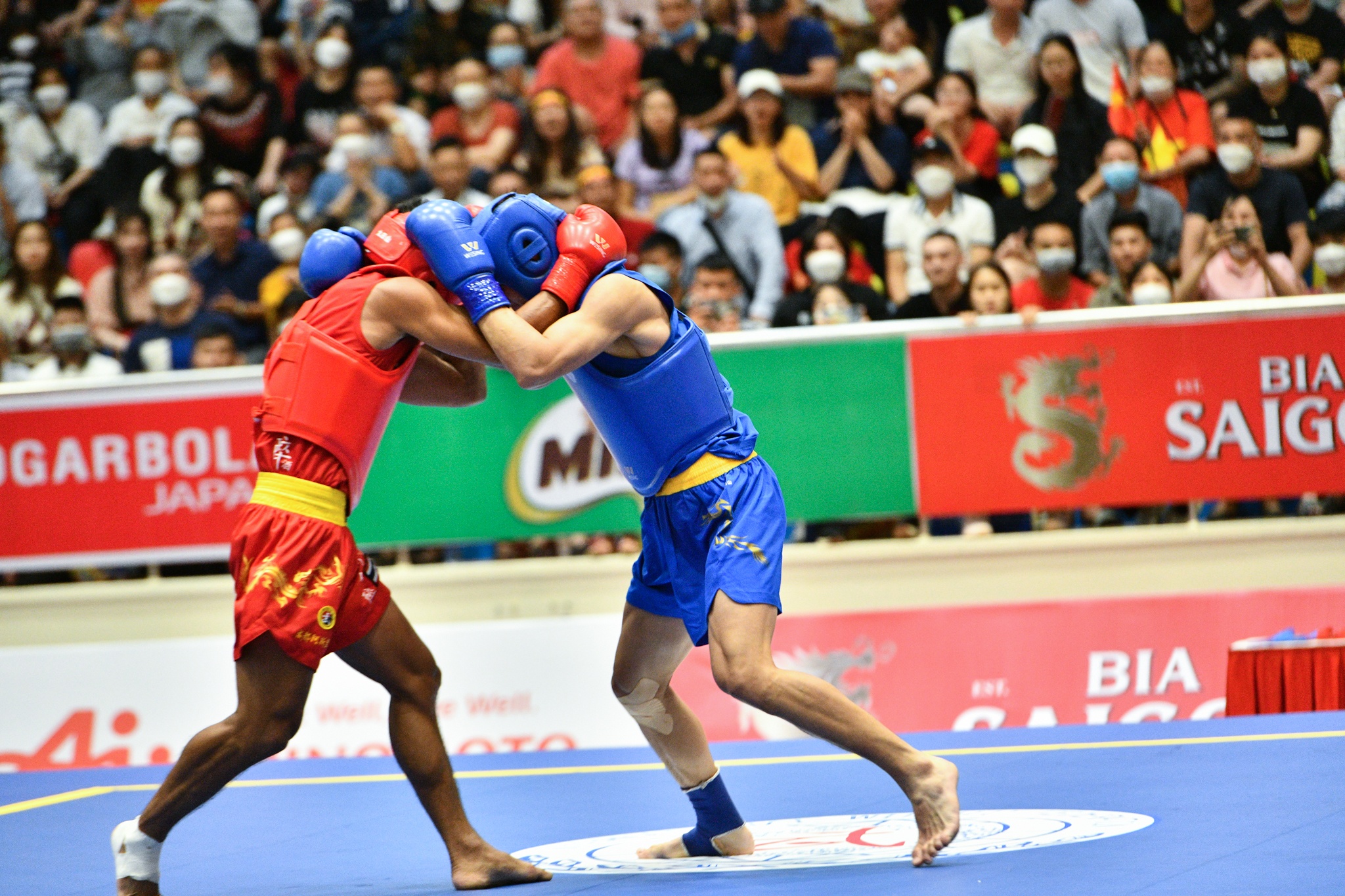 Doi tuyen Viet Nam,  gianh huy chuong vang anh 6