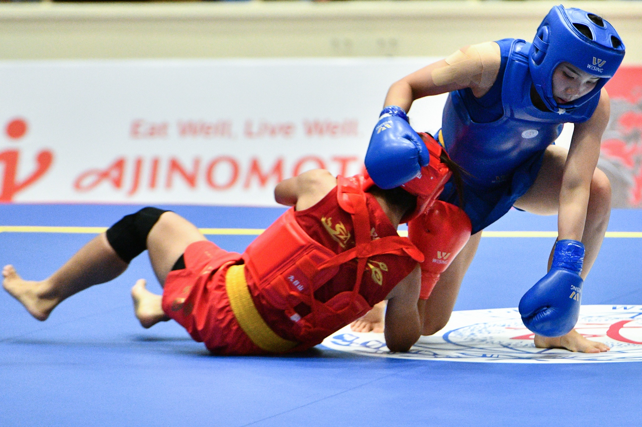 Doi tuyen Viet Nam,  gianh huy chuong vang anh 2