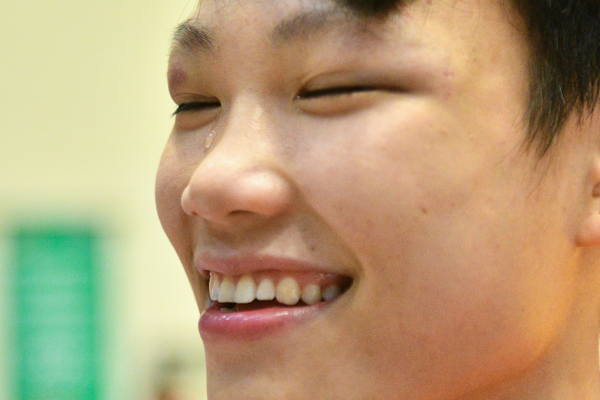 Doi tuyen Viet Nam,  gianh huy chuong vang anh 8