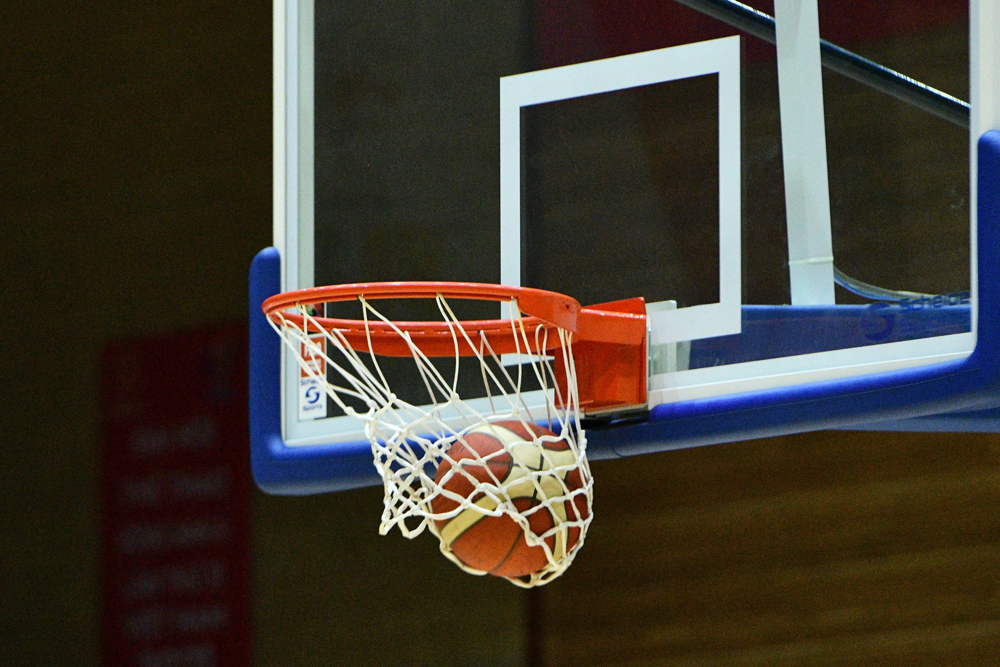 the thao Viet Nam,  bong ro nam anh 10