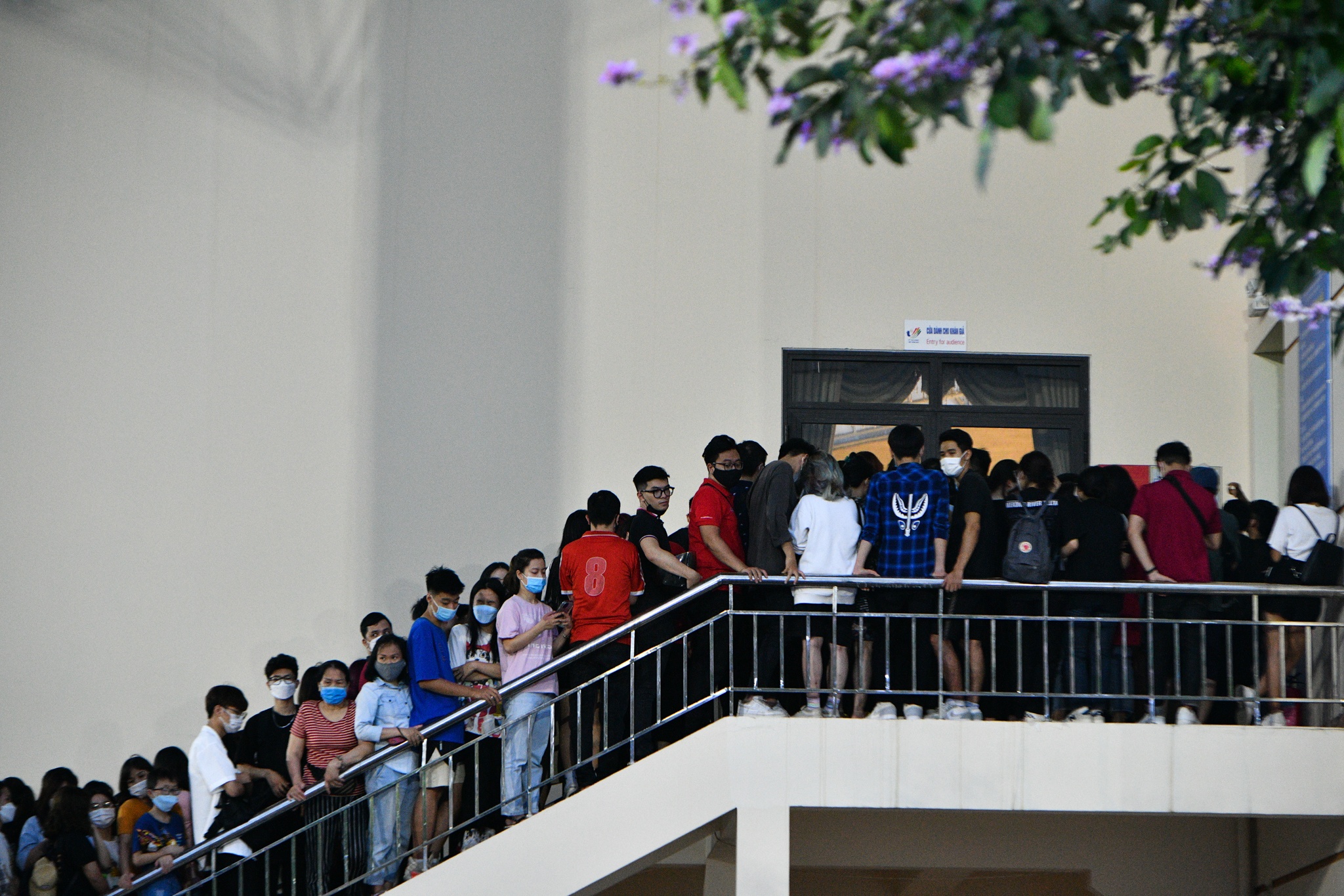 the thao Viet Nam,  cau thu bong ro,  Chris Dierker anh 2