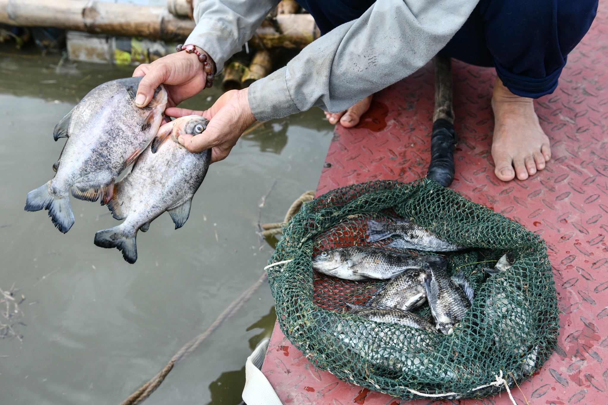 Dan nom nop lo tai san 'doi non ra di' khi thuy dien Hoa Binh xa lu anh 5