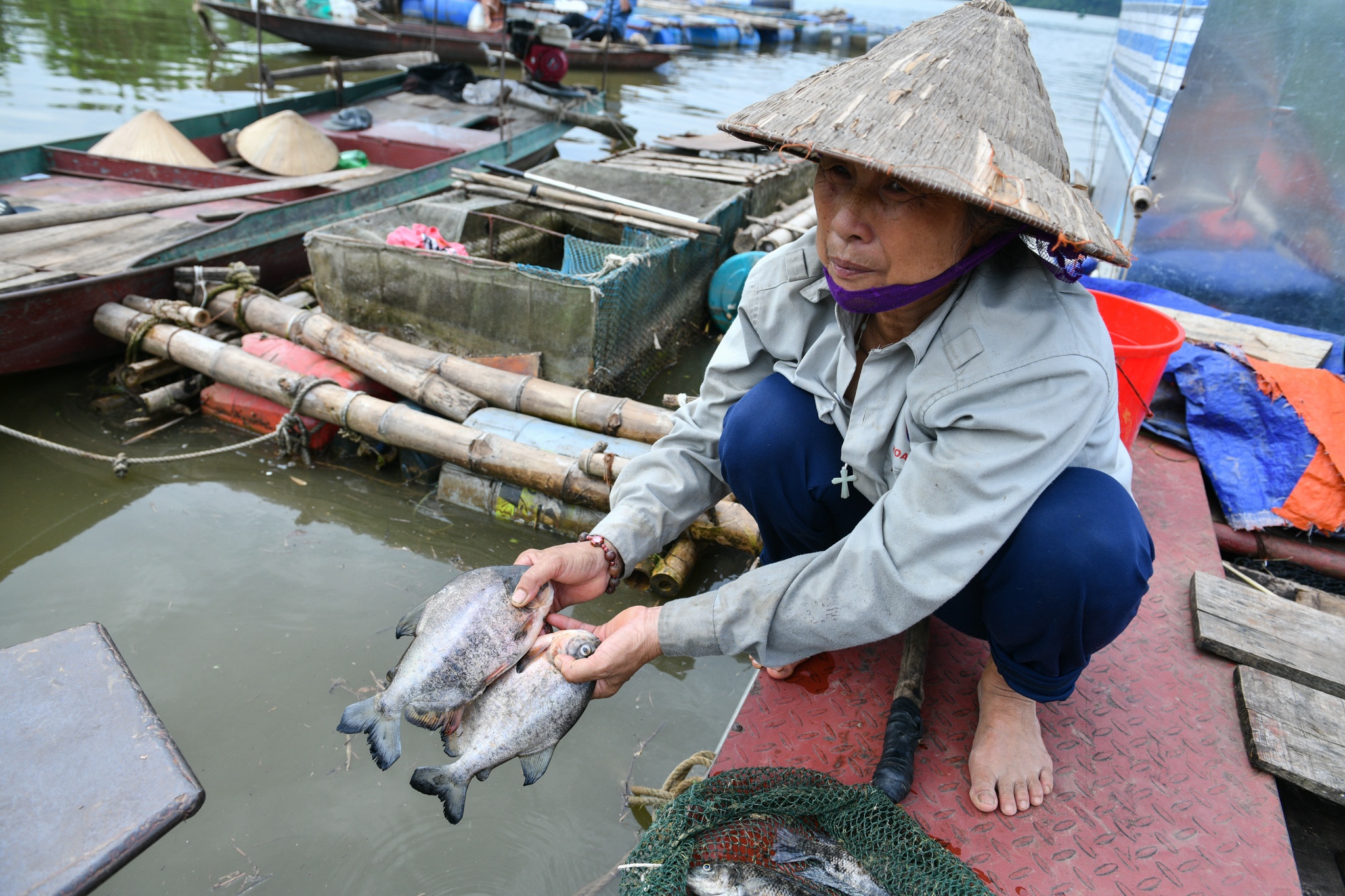 Dan lo ganh no hang tram trieu khi thuy dien Hoa Binh xa lu hinh anh
