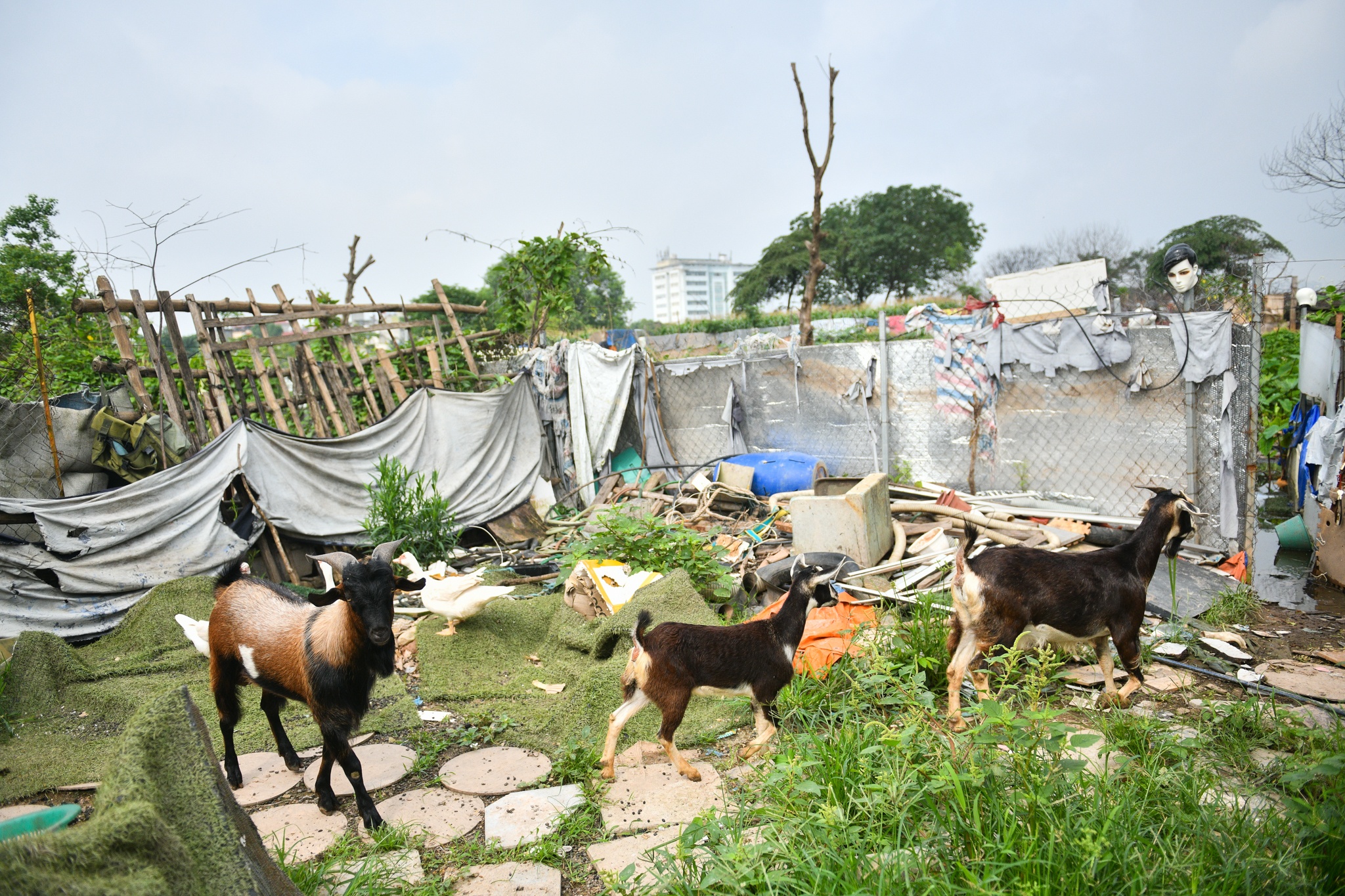 huong dan vien du lich,  du lich quoc te,  bay quoc te anh 9