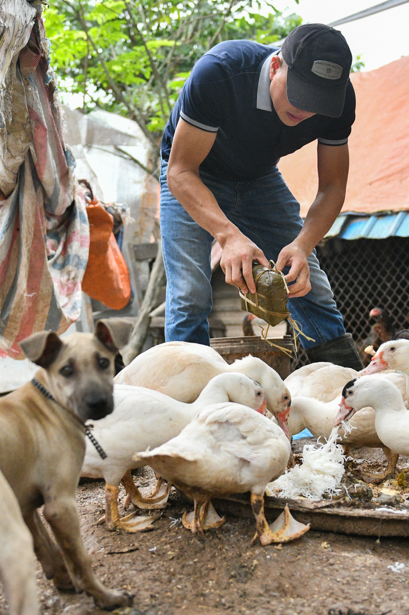 huong dan vien du lich,  du lich quoc te,  bay quoc te anh 8