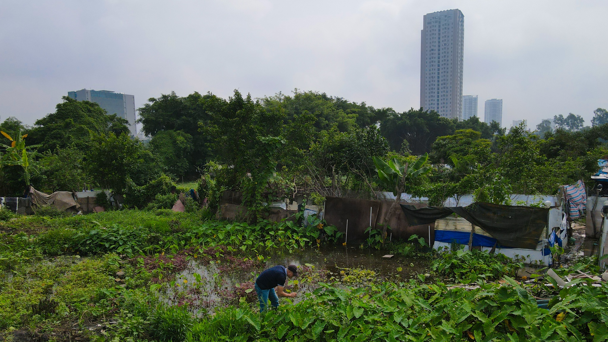 huong dan vien du lich,  du lich quoc te,  bay quoc te anh 3