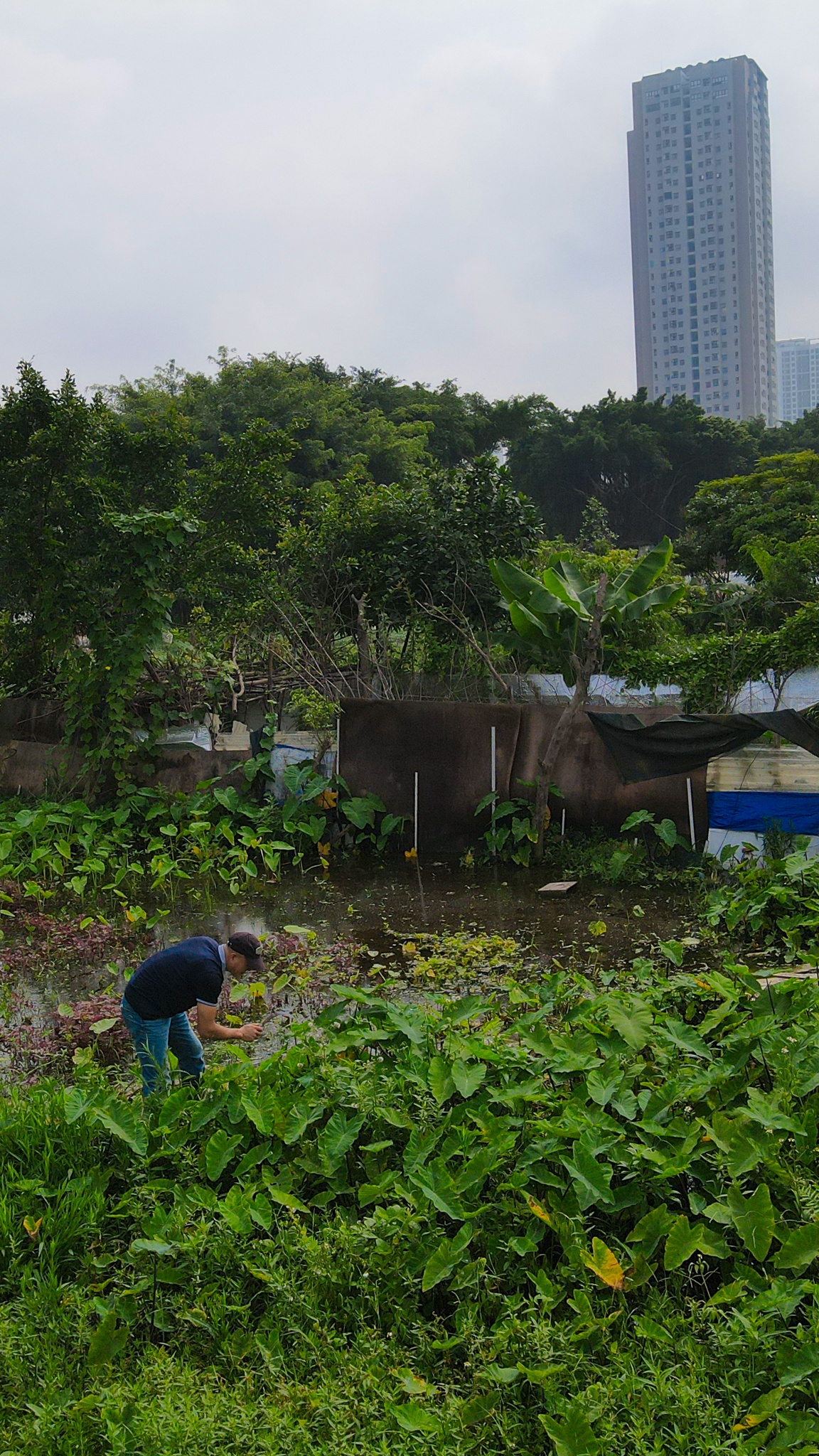 huong dan vien du lich,  du lich quoc te,  bay quoc te anh 4