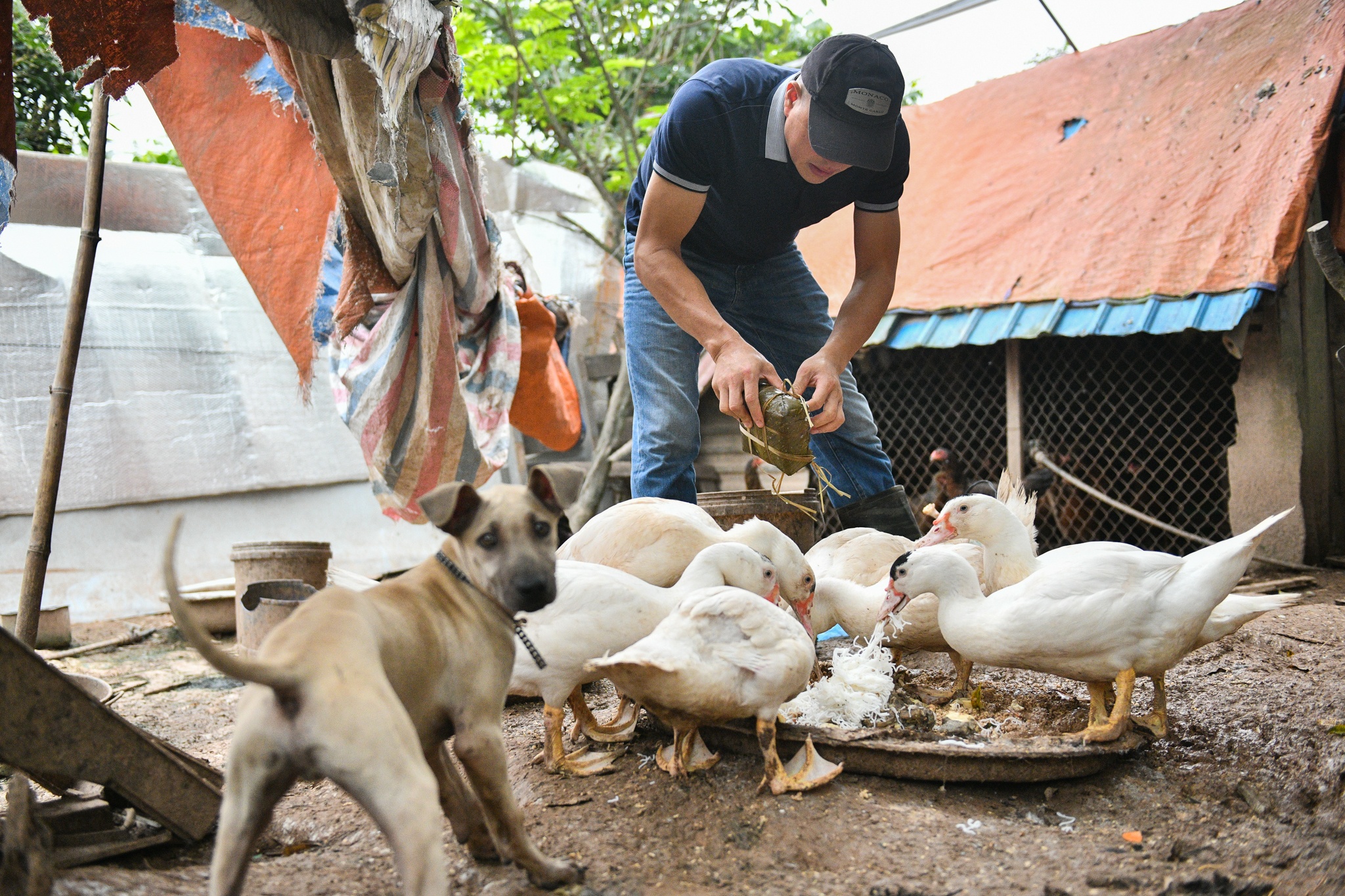 huong dan vien du lich,  du lich quoc te,  bay quoc te anh 7