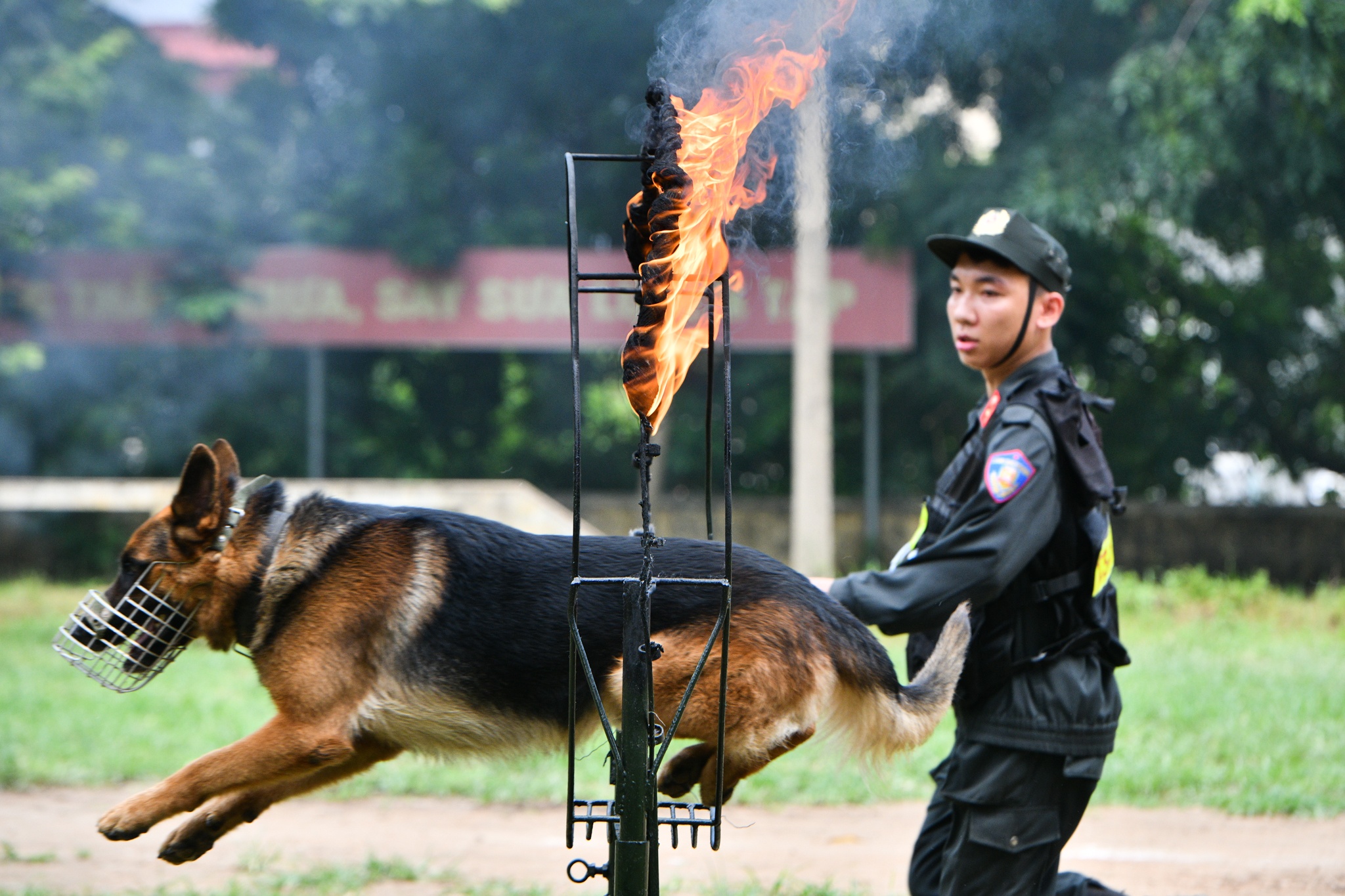 Cho nghiep vu tran ap toi pham anh 5