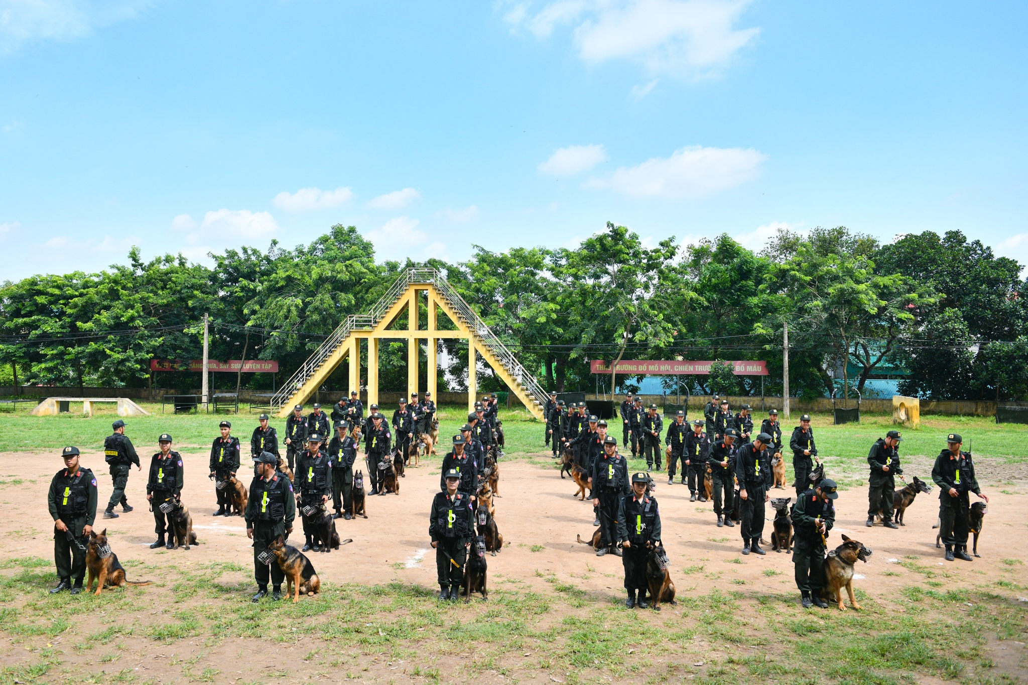 Cho nghiep vu tran ap toi pham anh 1