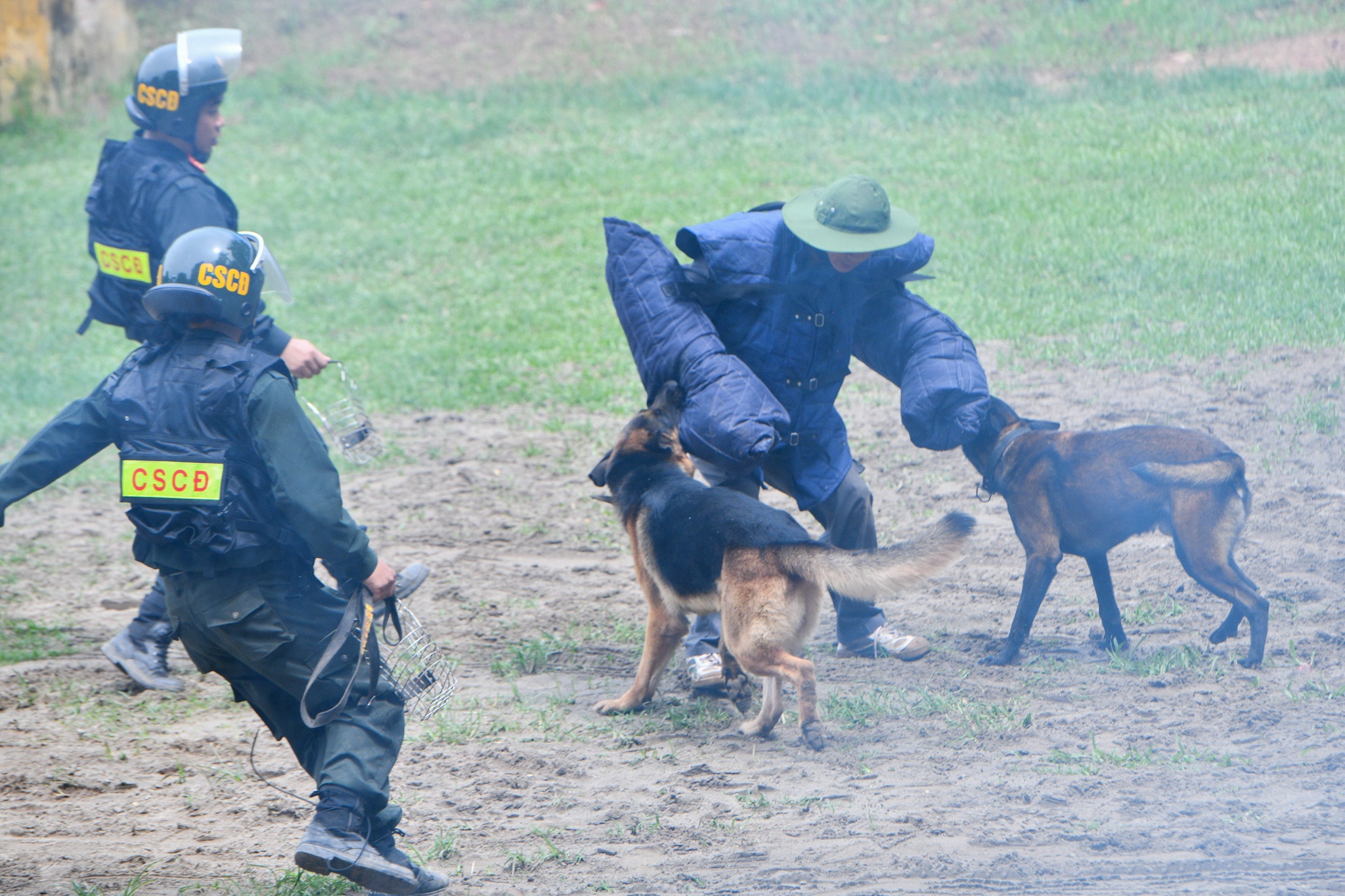 Cho nghiep vu tran ap toi pham anh 7