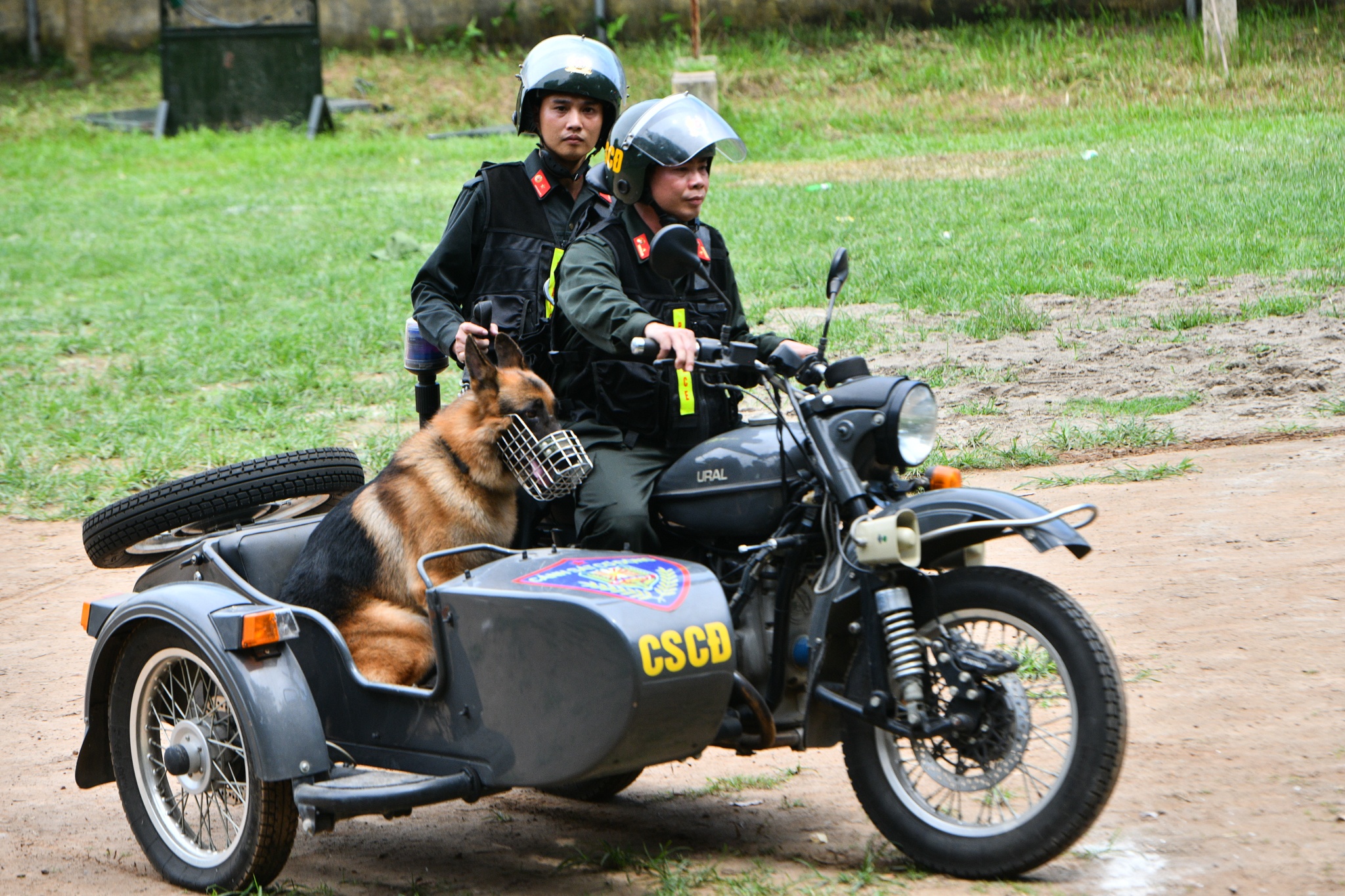 Cho nghiep vu tran ap toi pham anh 10