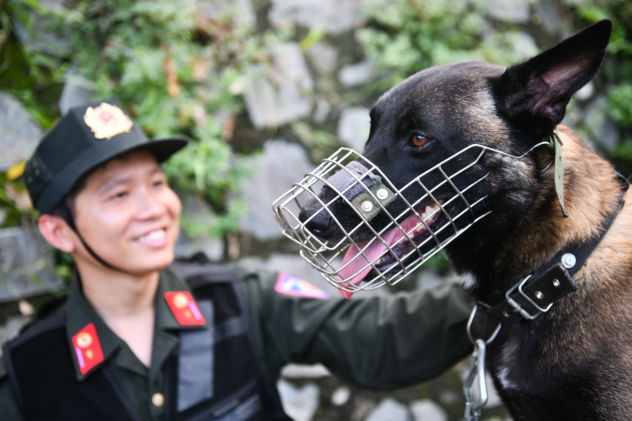 Cho nghiep vu tran ap toi pham anh 3