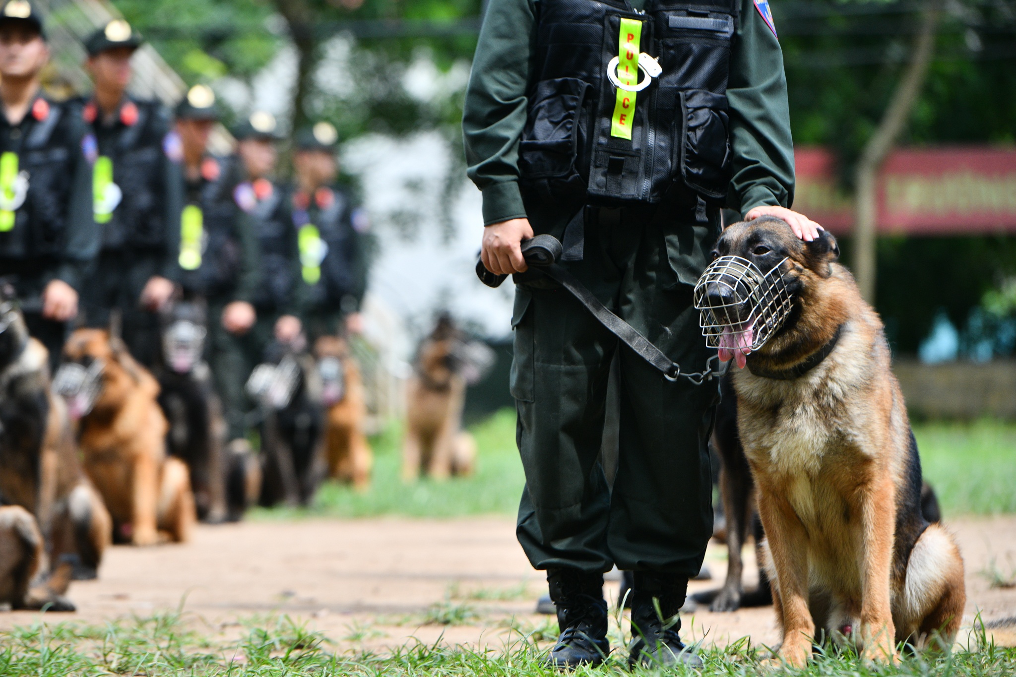 Cho nghiep vu tran ap toi pham anh 4