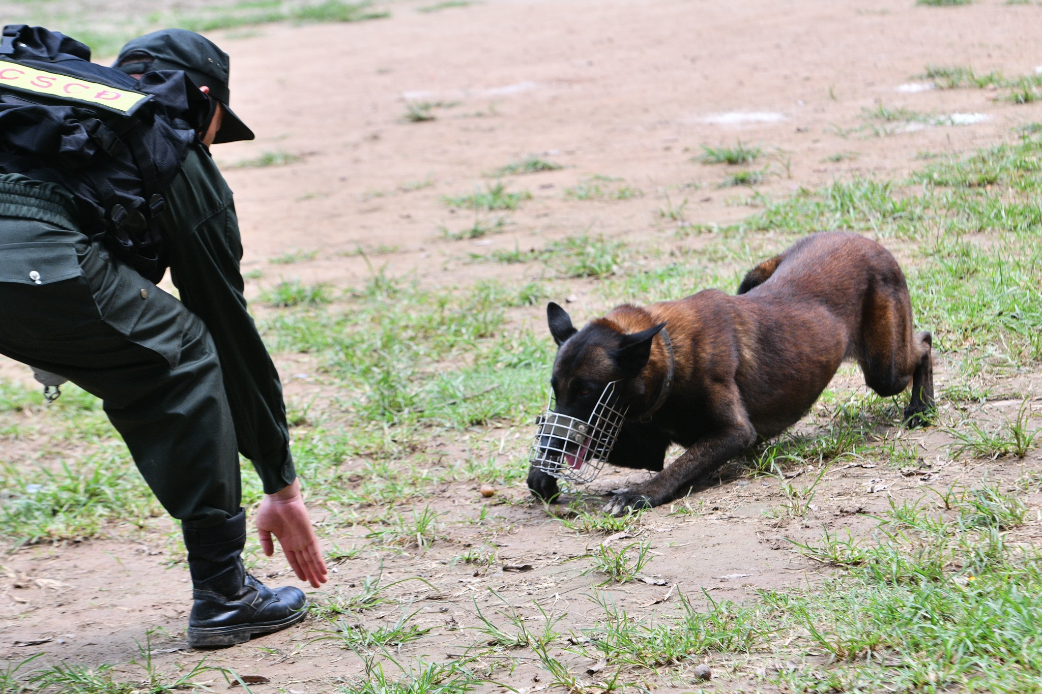 Cho nghiep vu tran ap toi pham anh 9