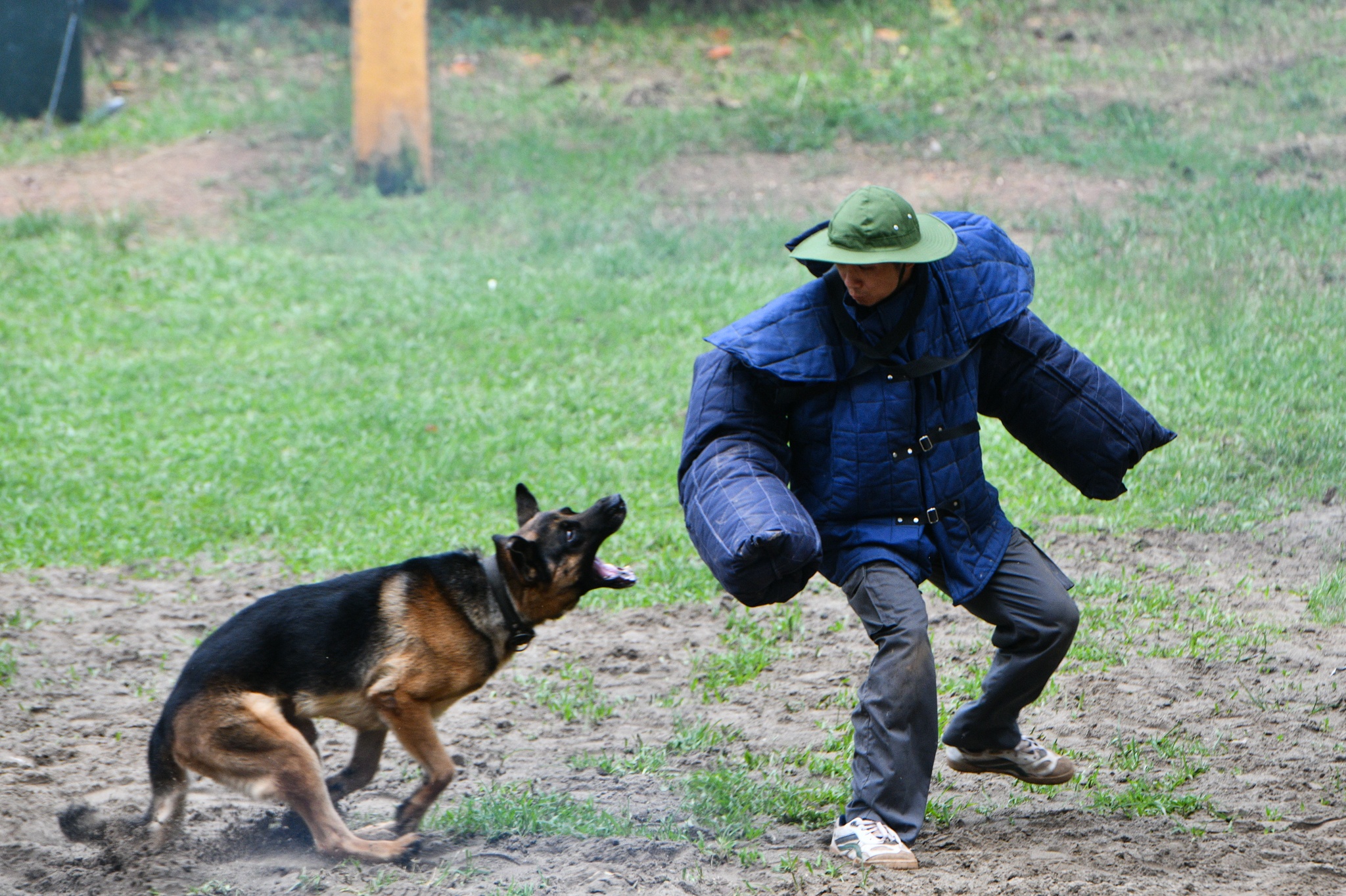Kha nang tan cong toi pham cua cho nghiep vu hinh anh
