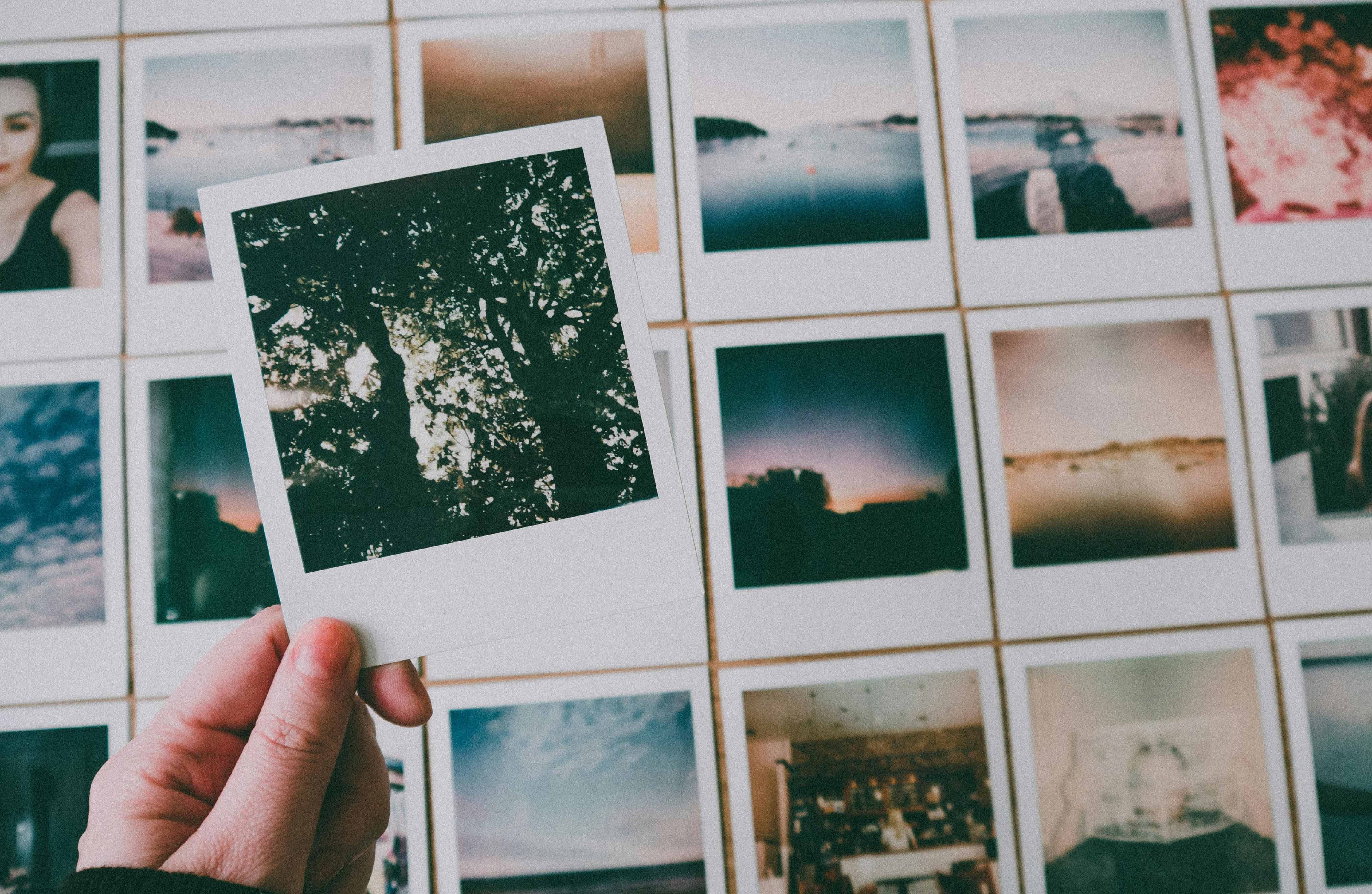 Tri nho lam viec nhu the nao? Cau tra loi co the khien ban ngac nhien hinh anh